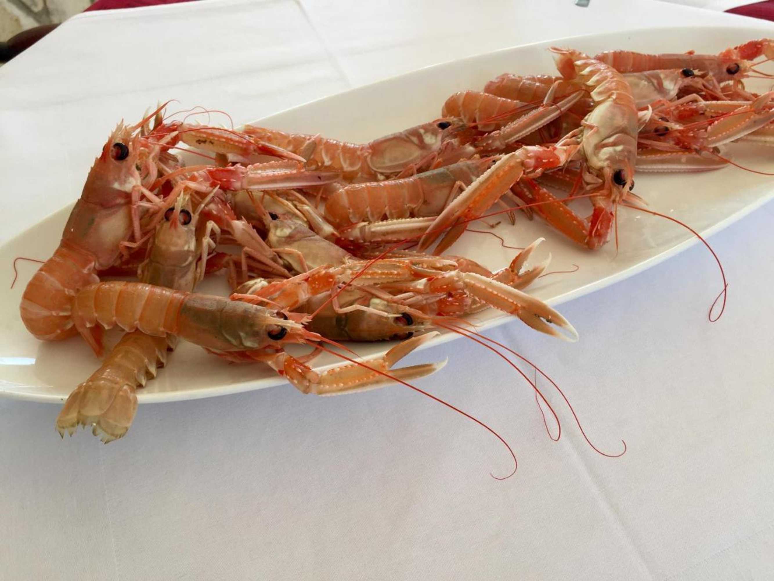 Gift card for Rooms & Pansion Odmor