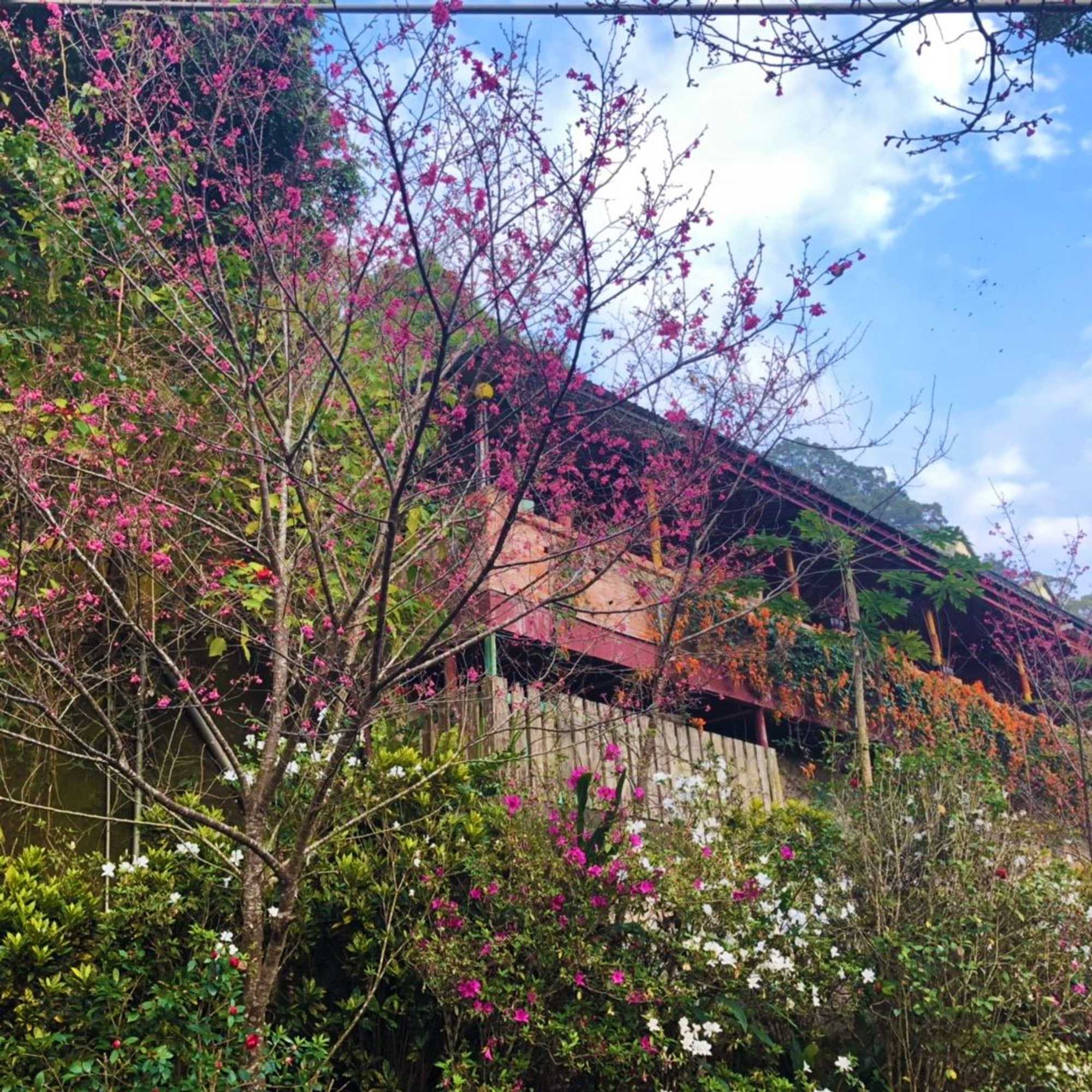 Gift card for Xianshan Homestay