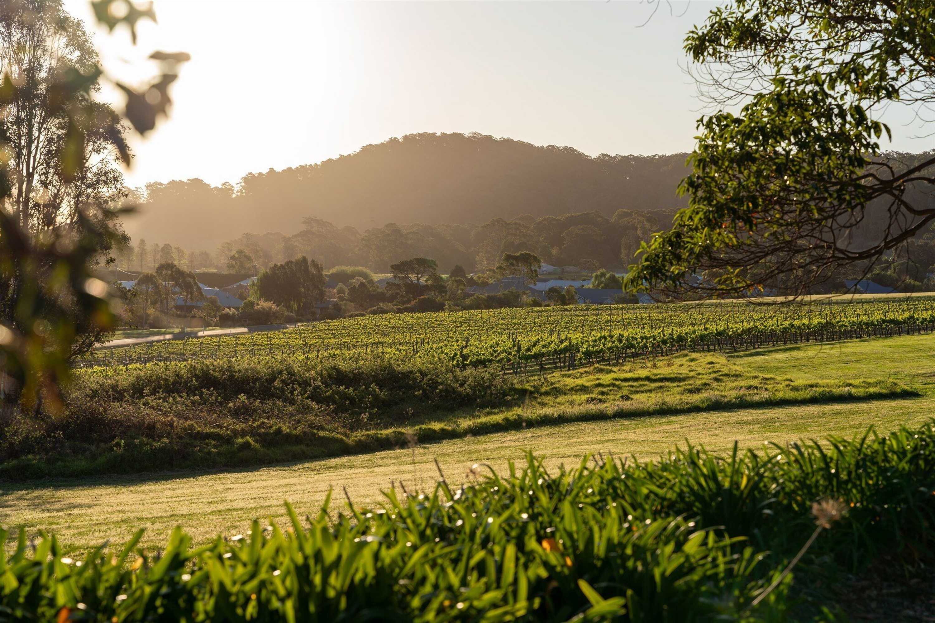 Gift card for Coolangatta Estate Shoalhaven Heads Gift card for Coolangatta Estate Shoalhaven Heads