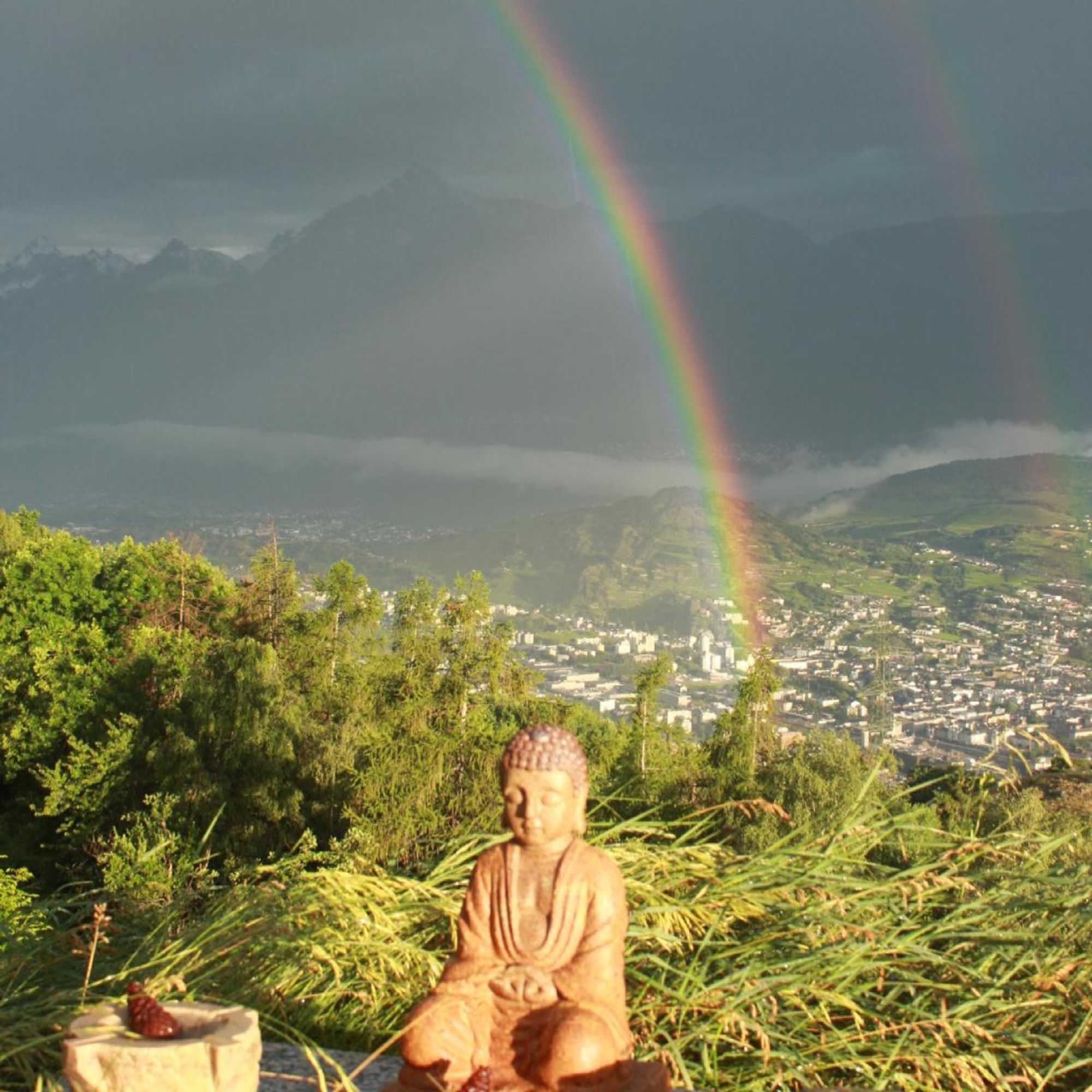 Gift card for Bellevie Bnb