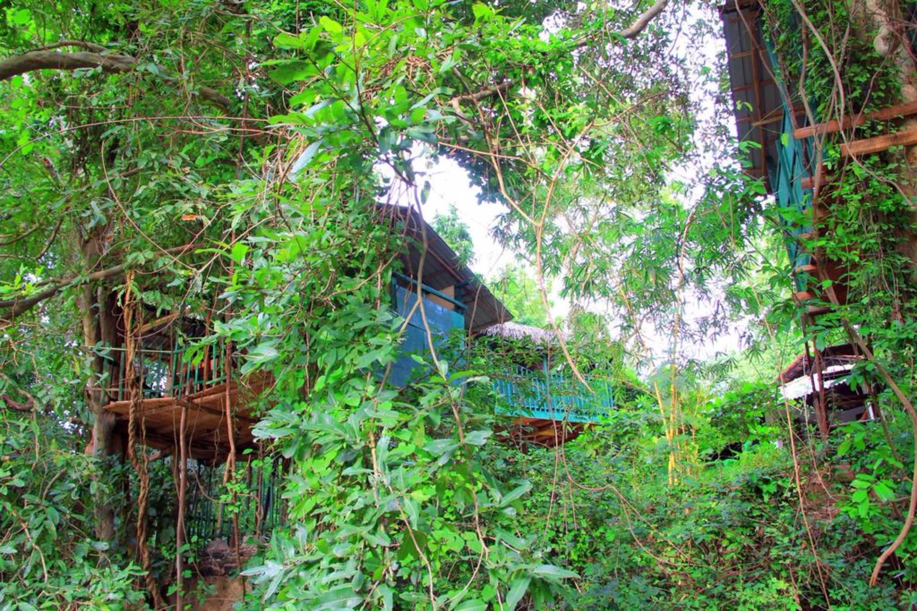 Gift card for Riverside Cabana Yala Gift card for Riverside Cabana Yala