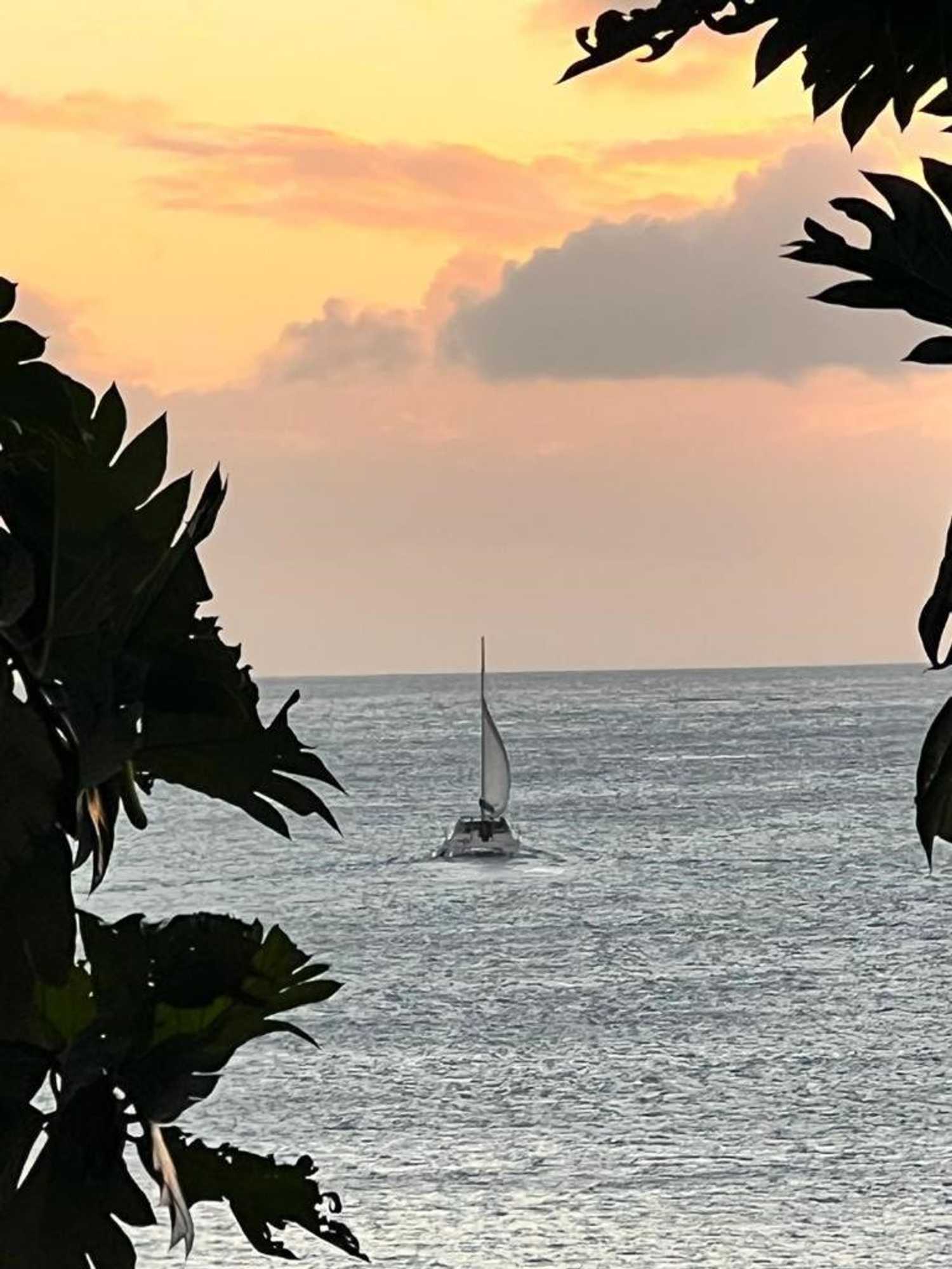 Gift card for Casa Del Vega a Little Peace of Heaven