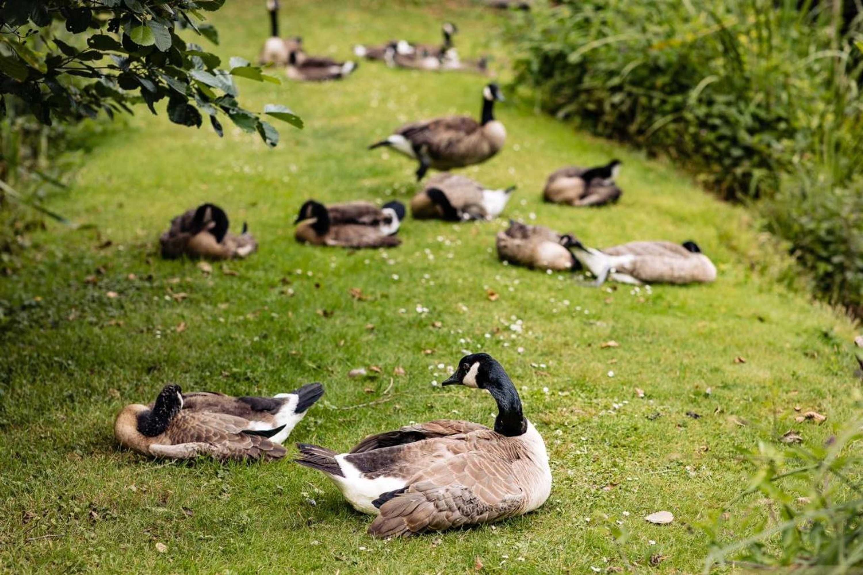 Gift card for Landgoed Overste Hof