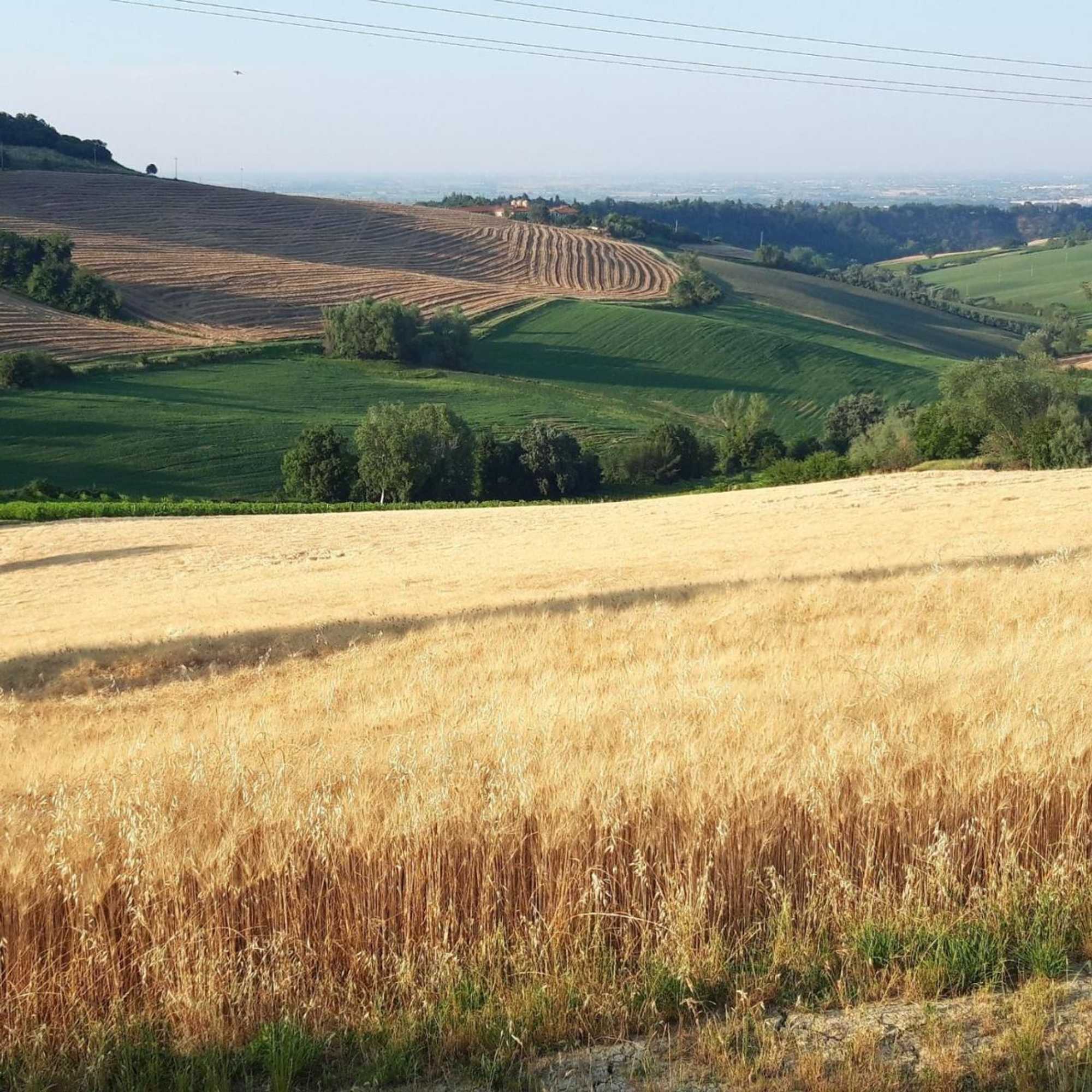 Gift card for Locanda Donna Laura