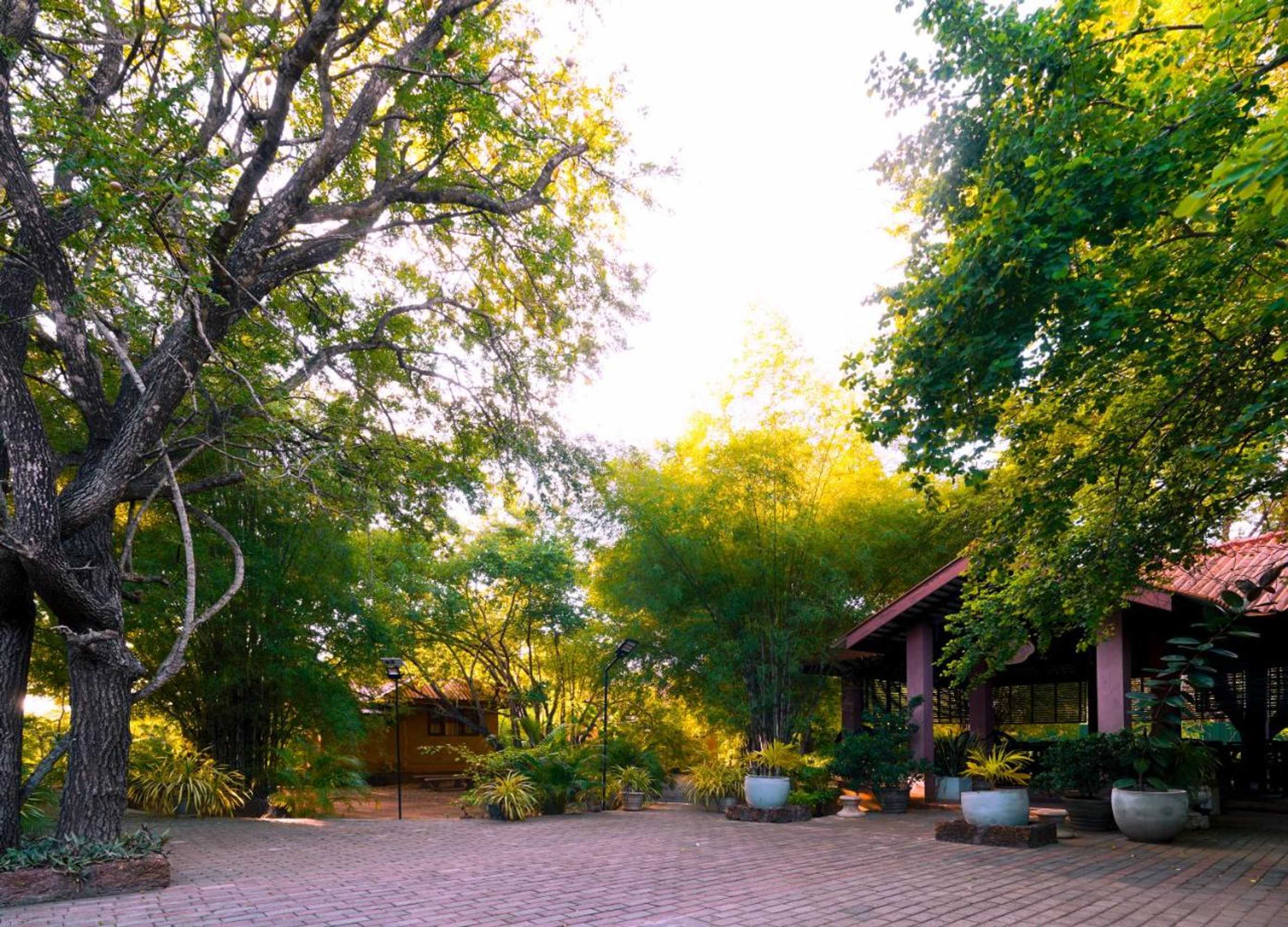 Gift card for Safari Lodge Yala Gift card for Safari Lodge Yala