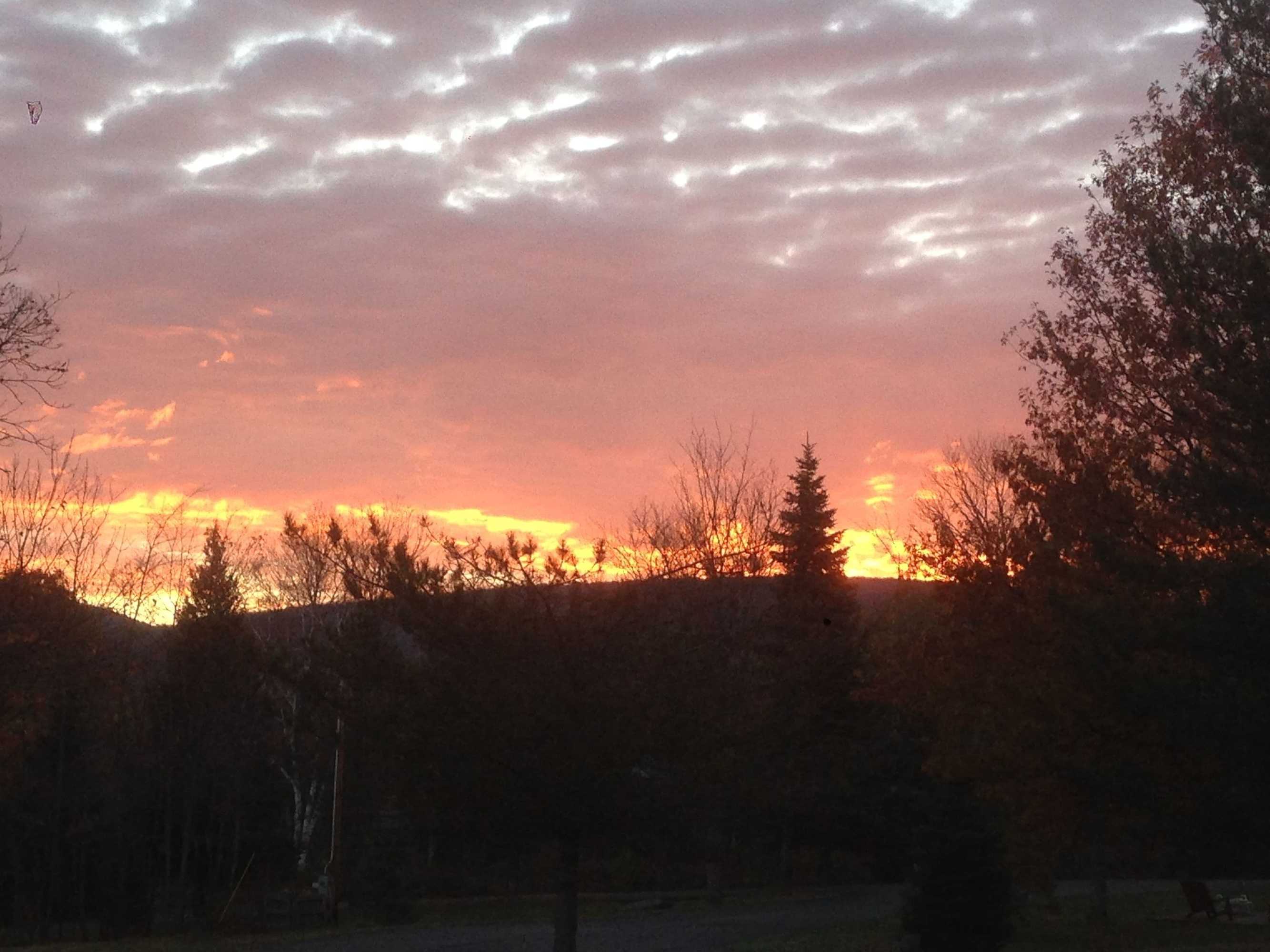 Gift card for Hotel Vienna