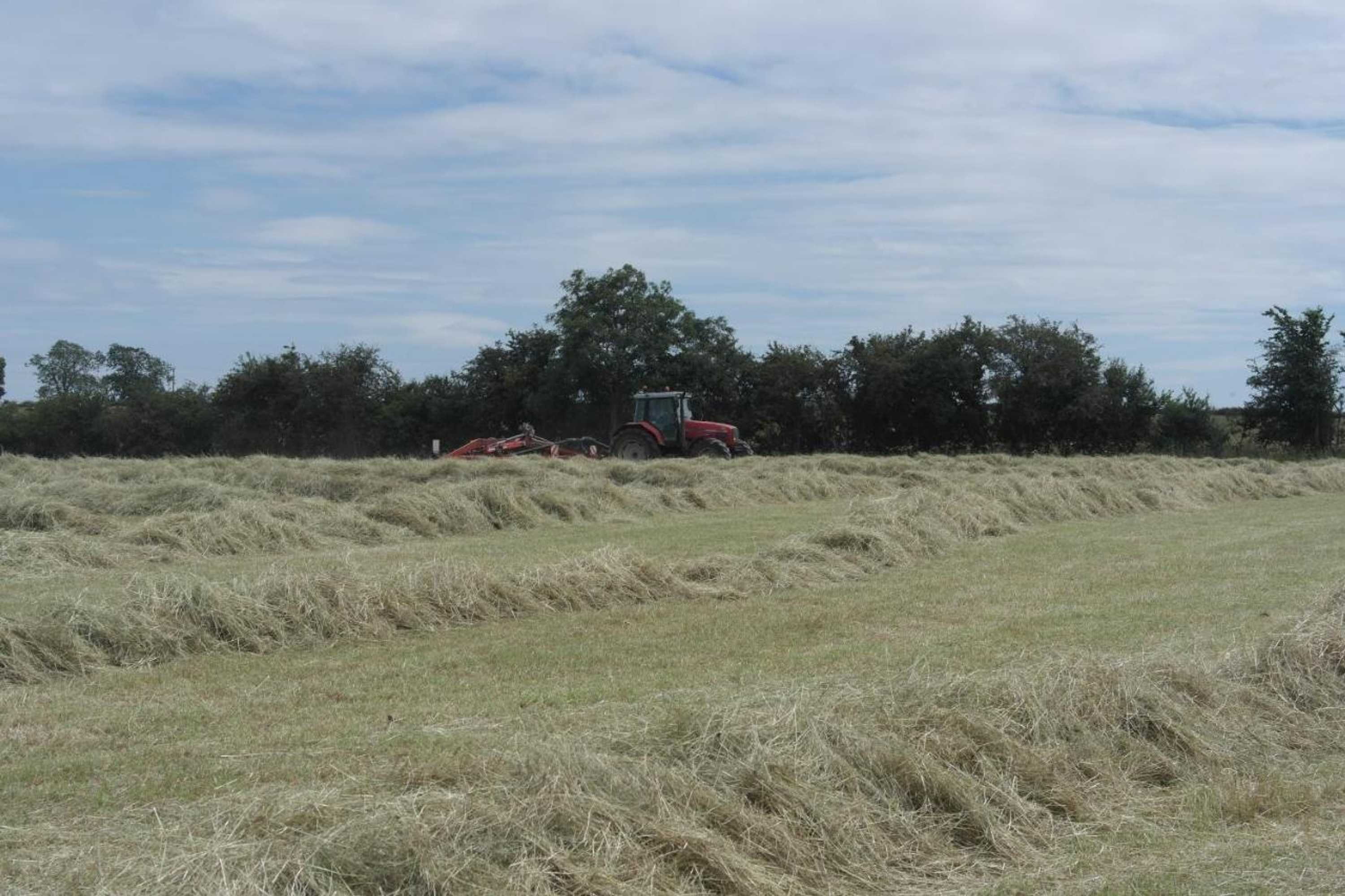 Gift card for Handley Barn