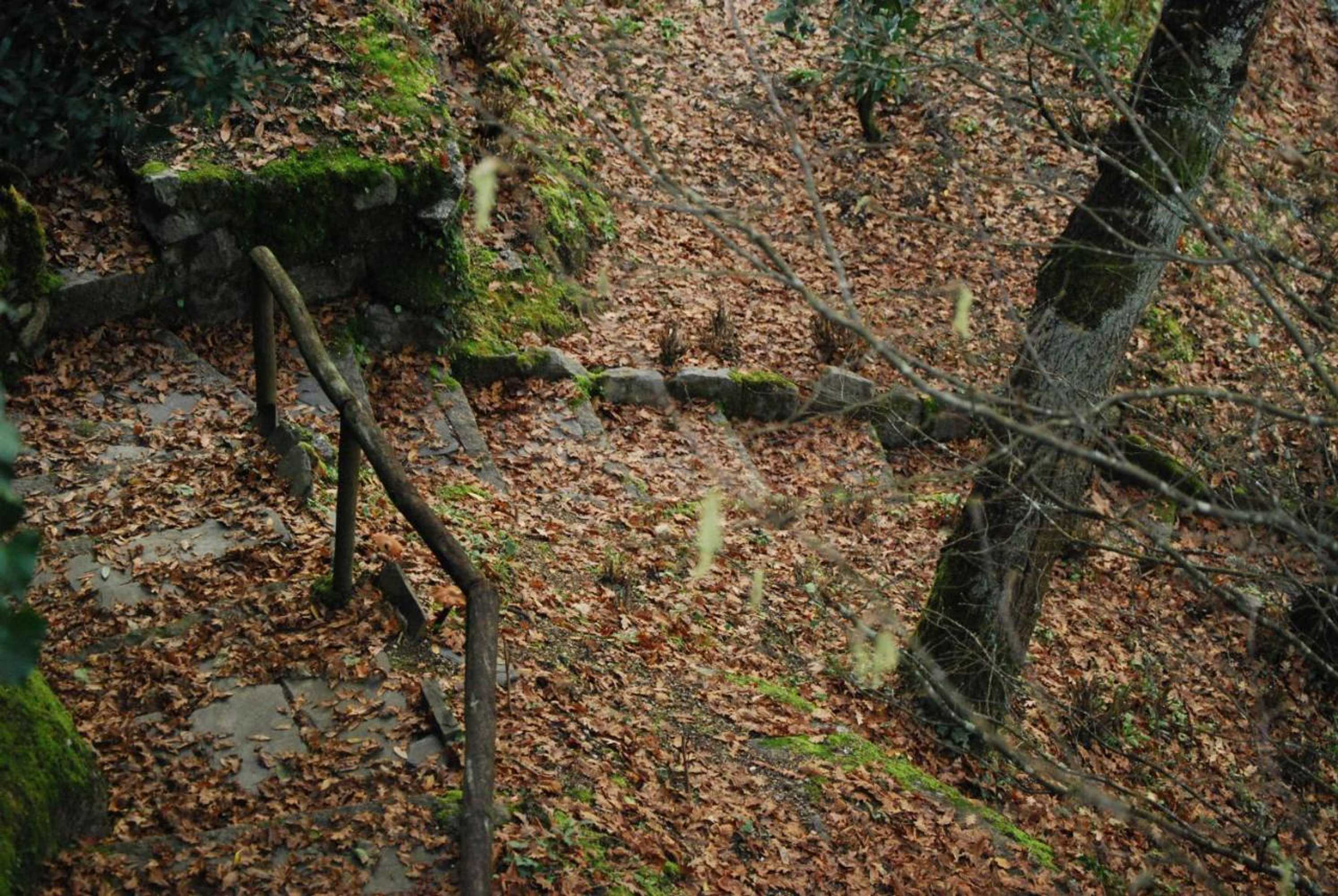 Gift card for Casa Dos Canais, River Cottage Gift card for Casa Dos Canais, River Cottage