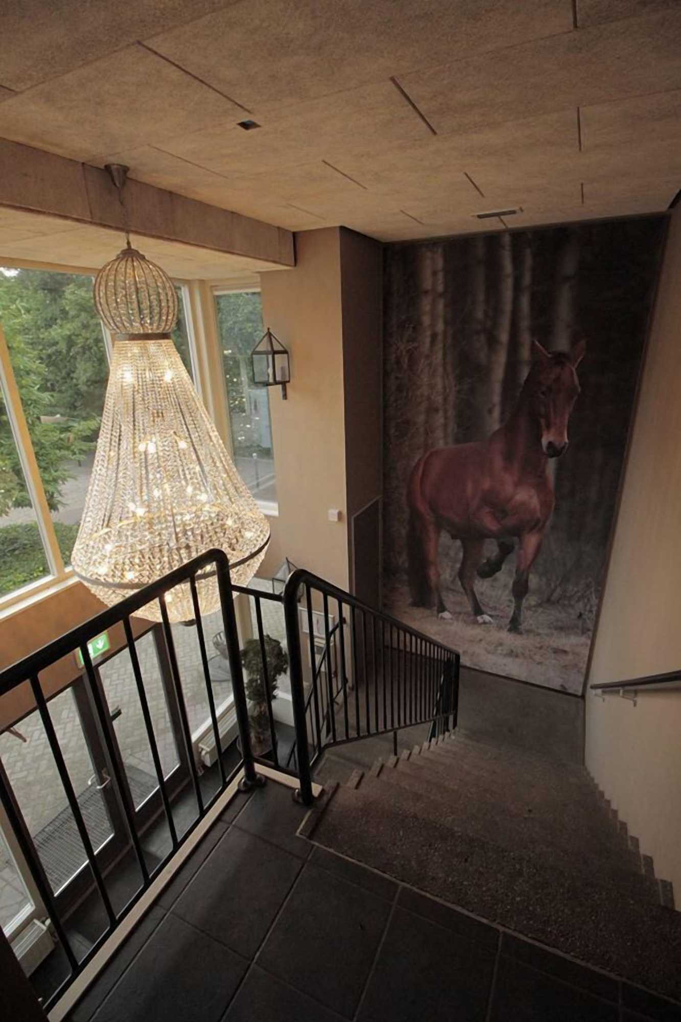 Gift card for Human & Horse Hotel Gift card for Human & Horse Hotel
