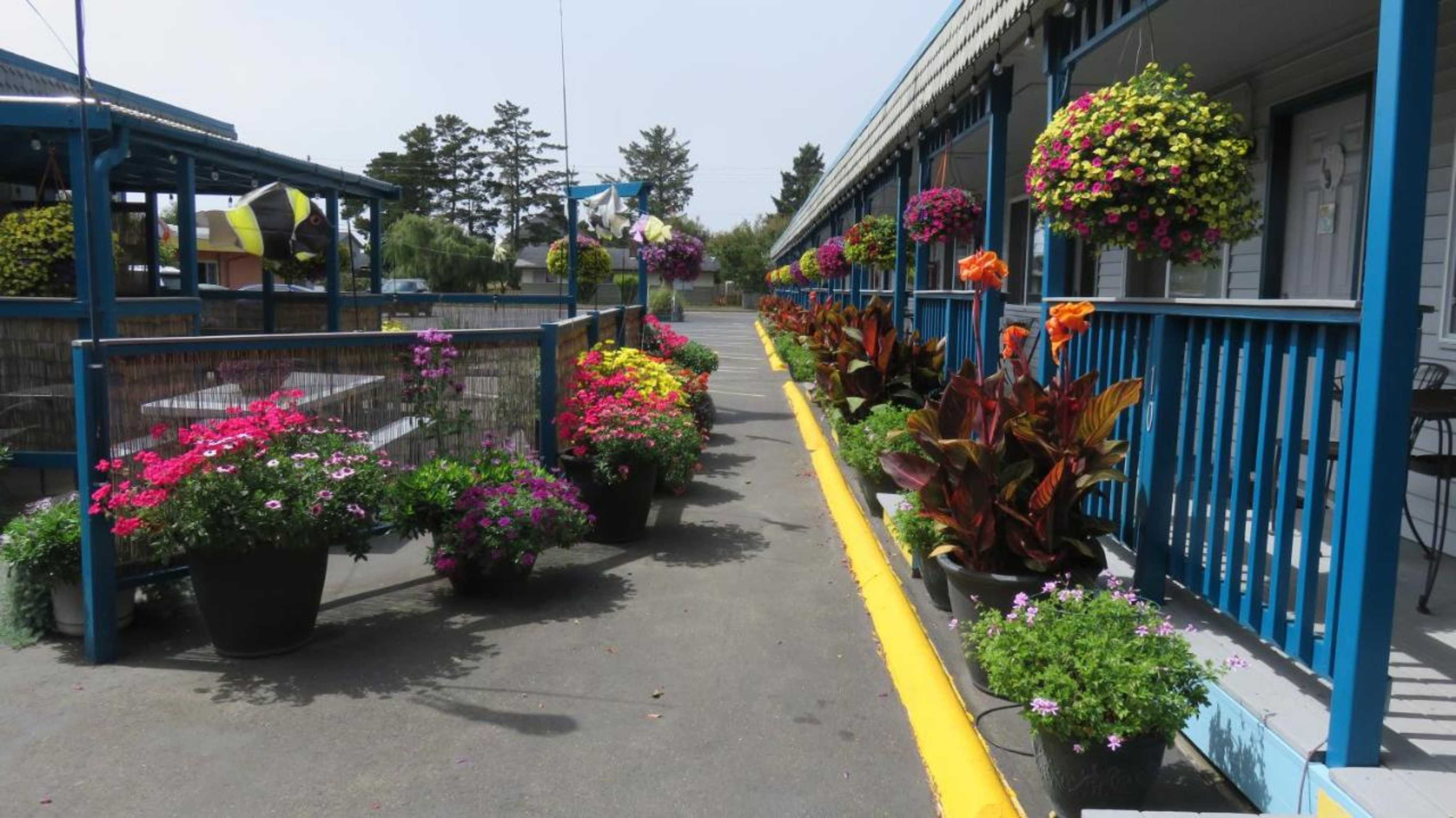 Gift card for Mermaid Inn