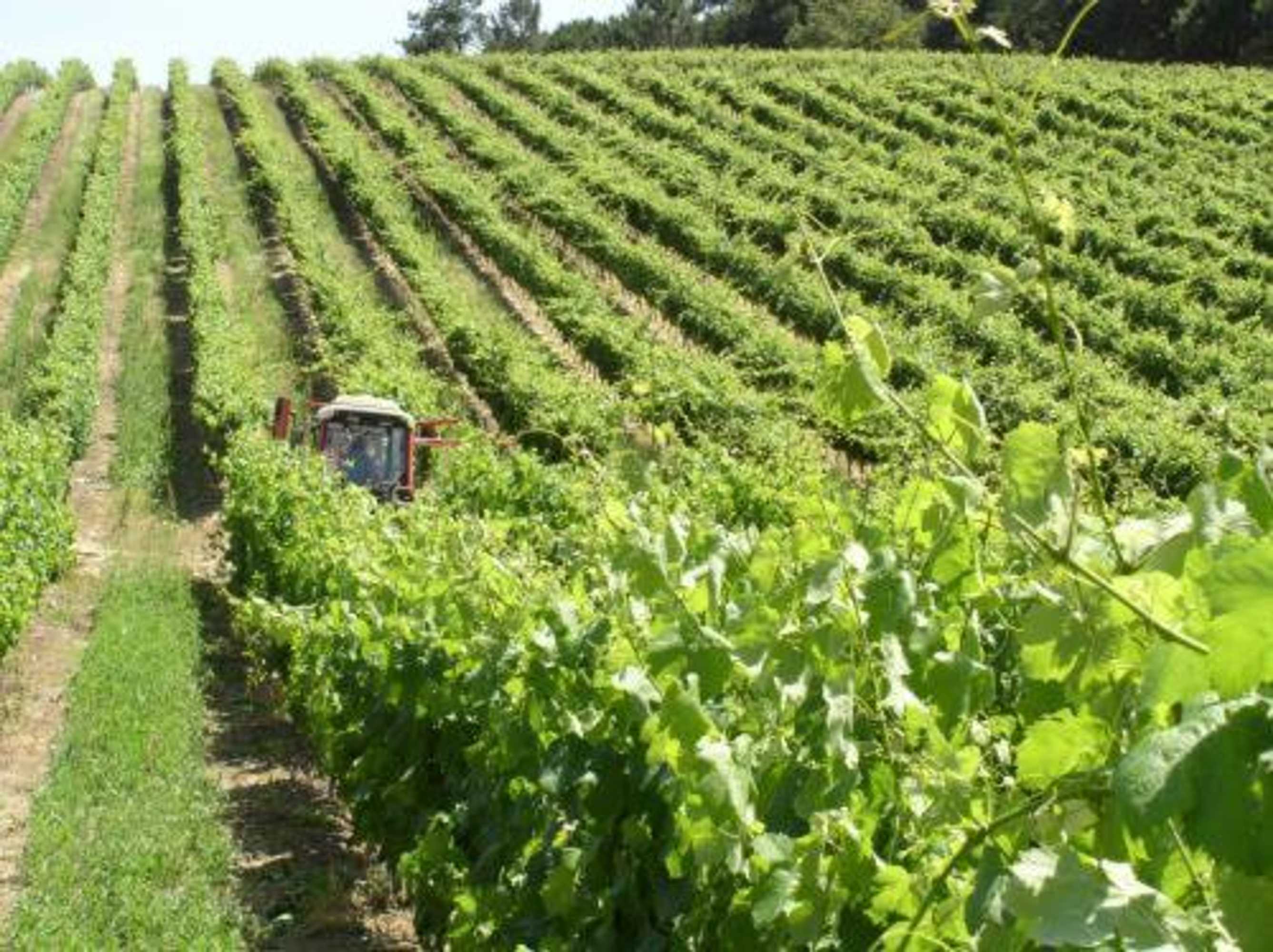 Gift card for Quinta De Catralvos