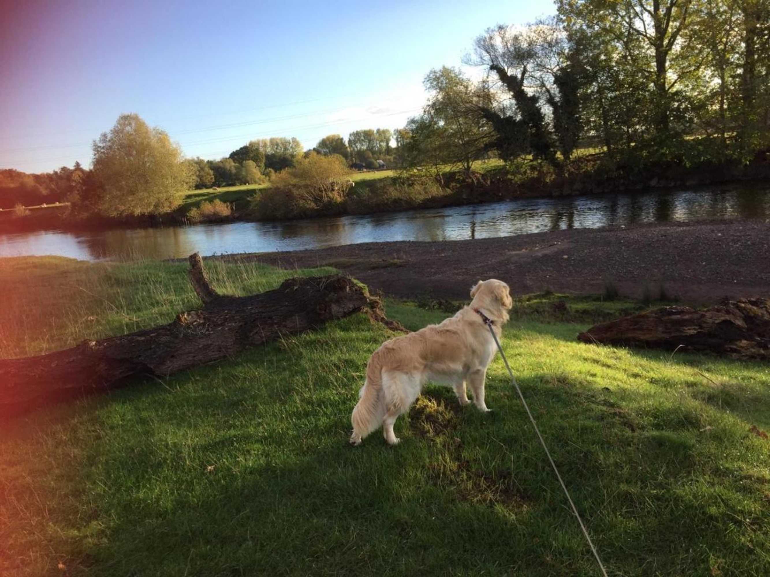 Gift card for Rectory Cottage