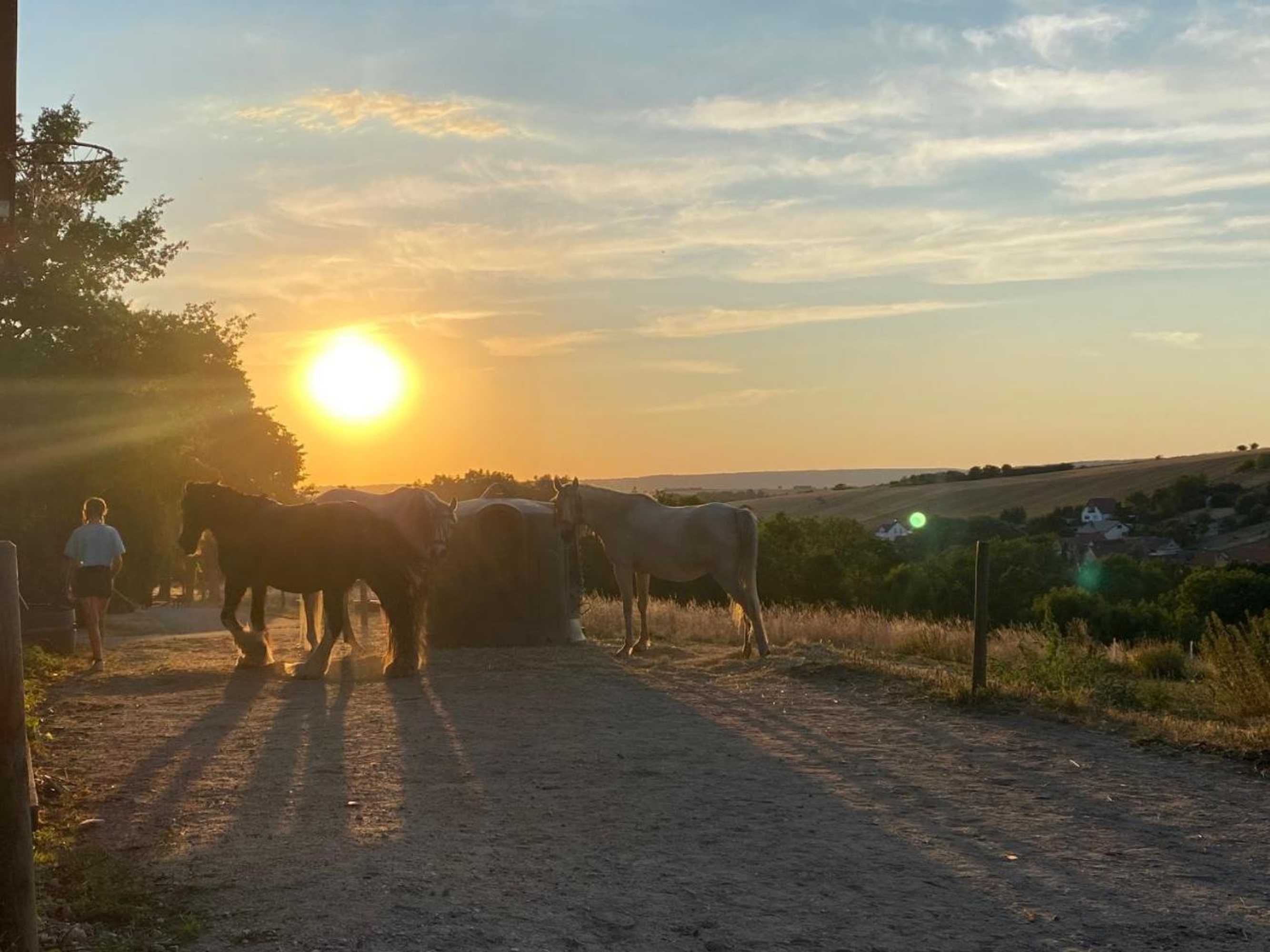 Gift card for Vanilla Hof