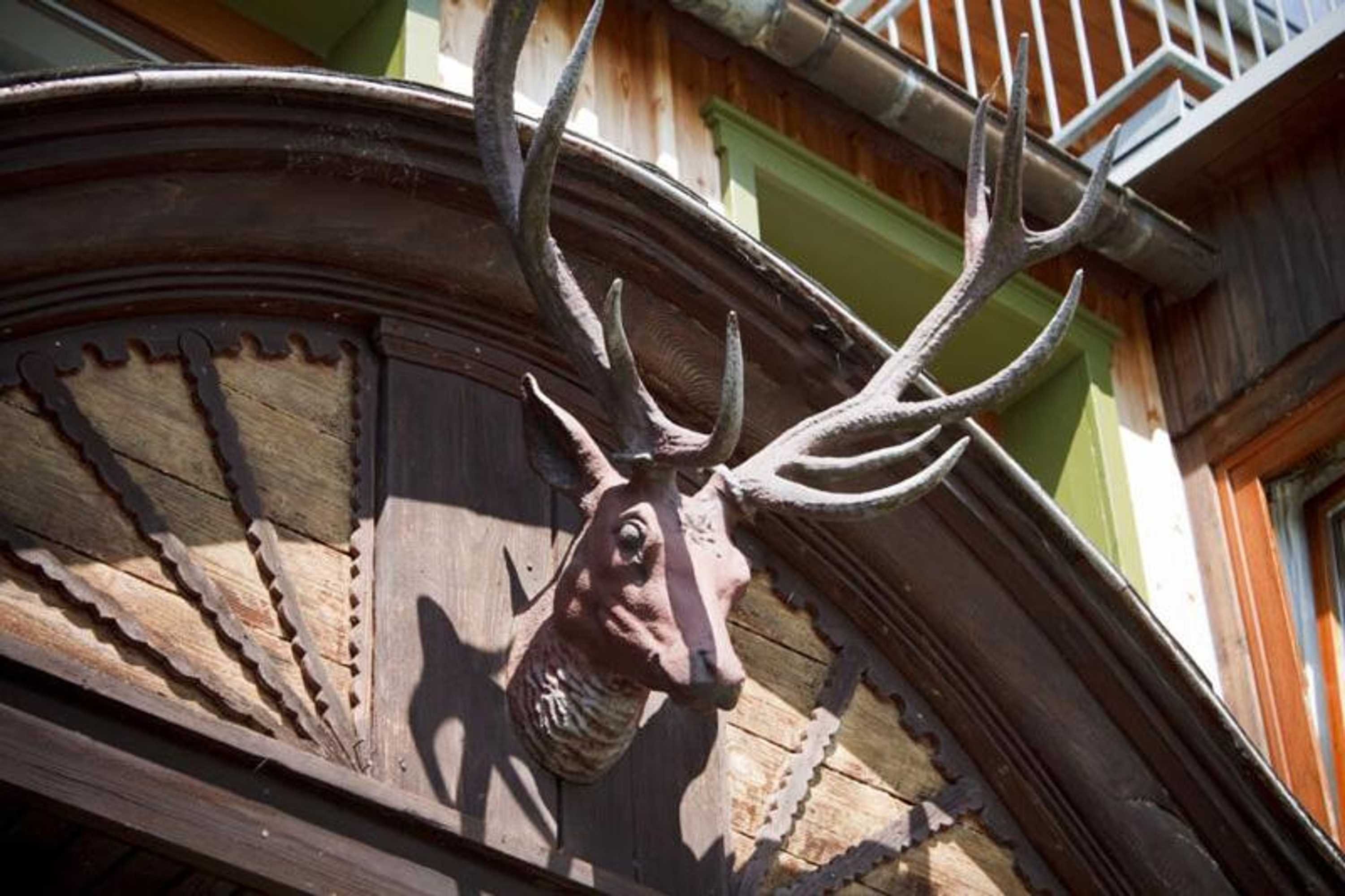 Gift card for Berghof Lichtenhain