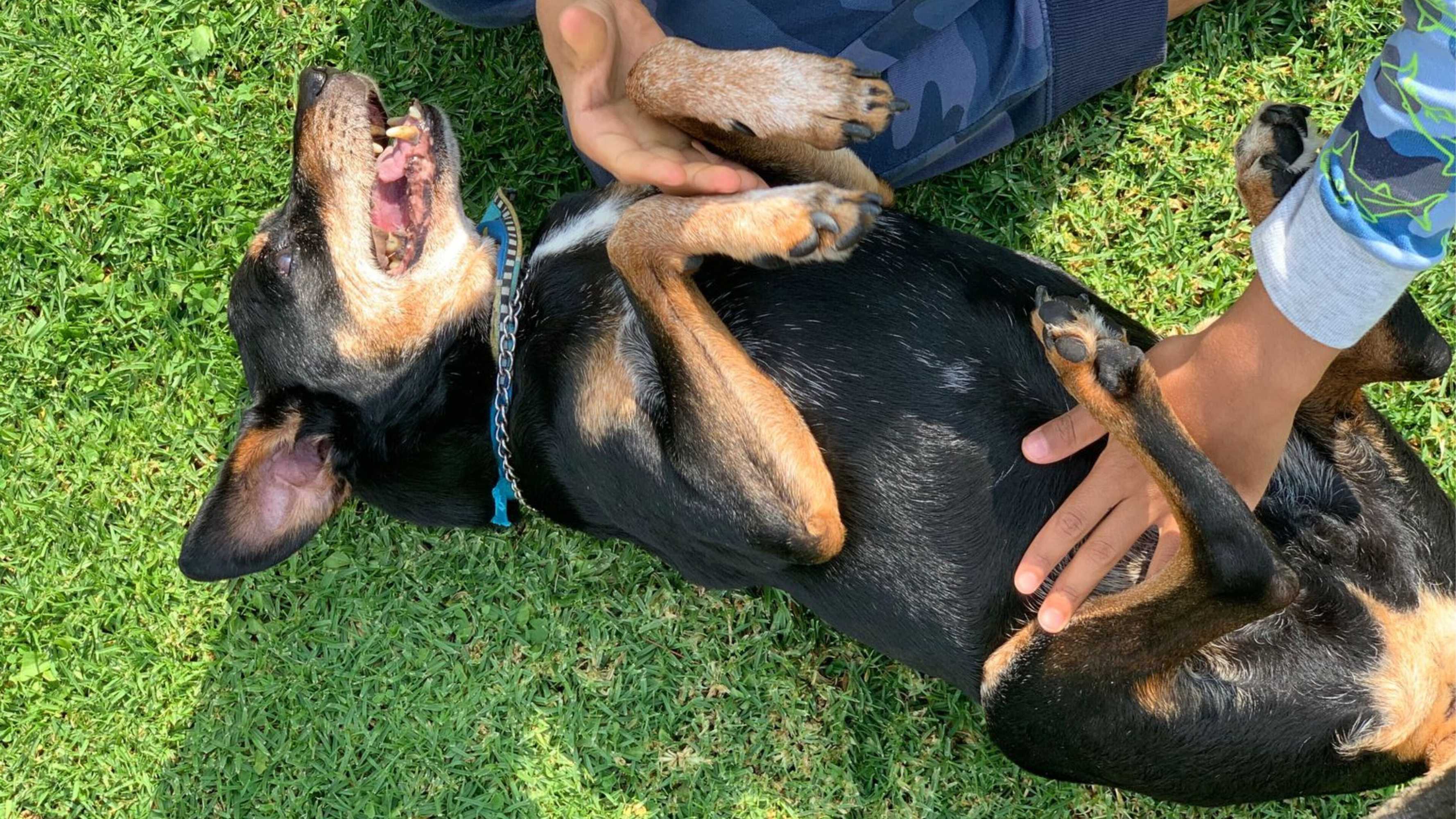 Gift card for Chalet