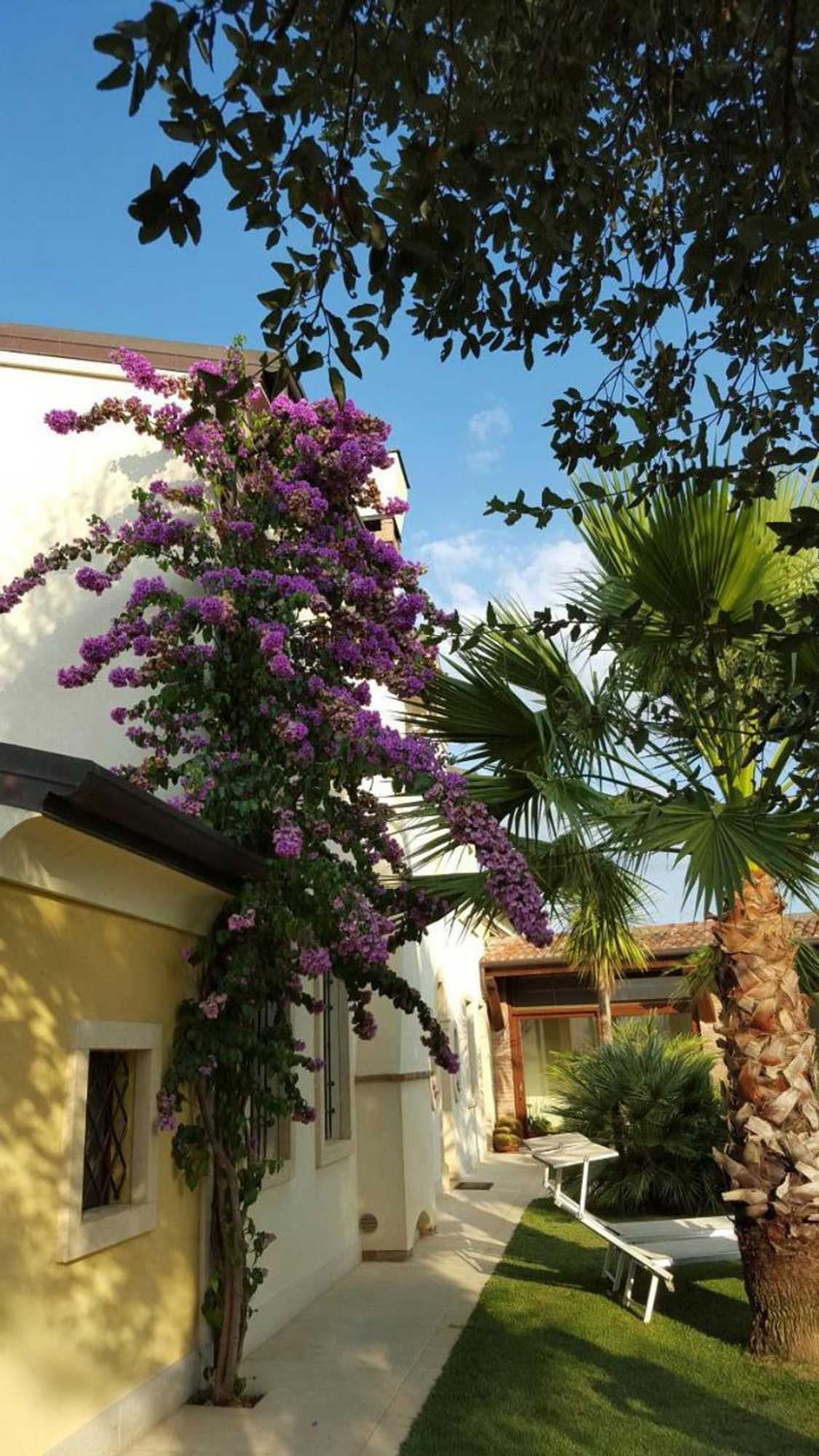 Gift card for B&b Corte San Tomaso