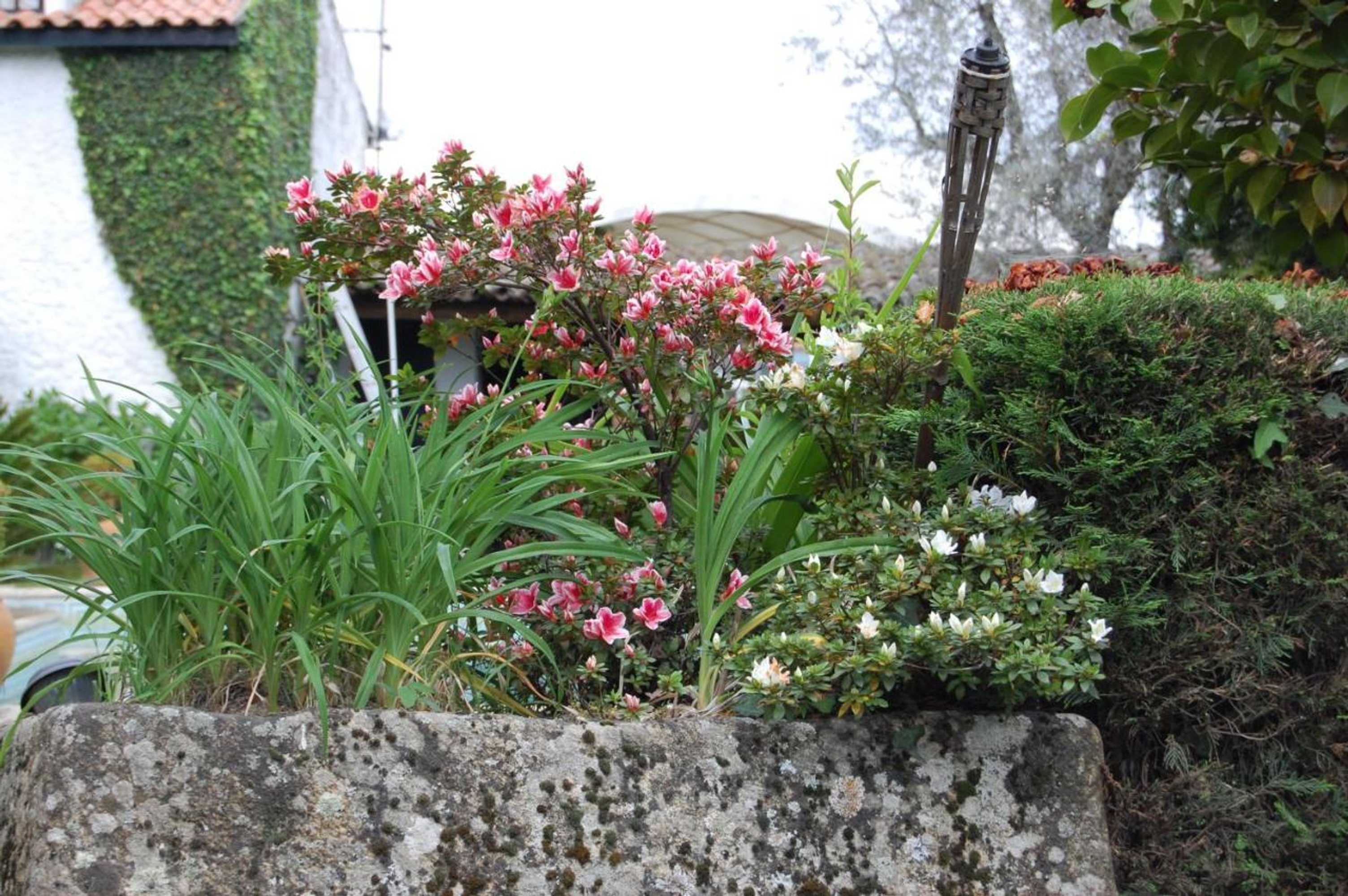 Gift card for Casa da Quinta De S. Martinho