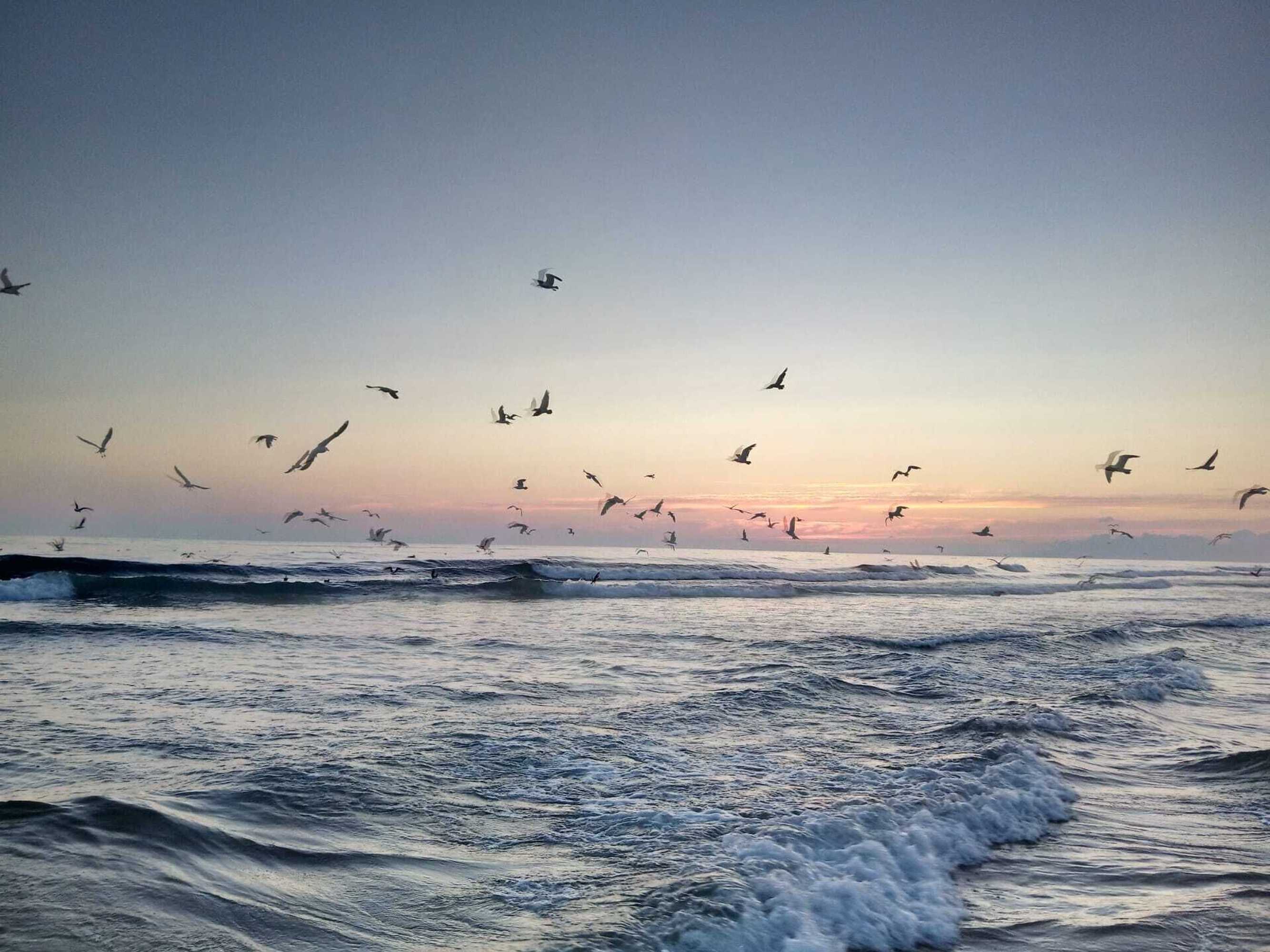 Gift card for Fonte da Telha Beach Hostel