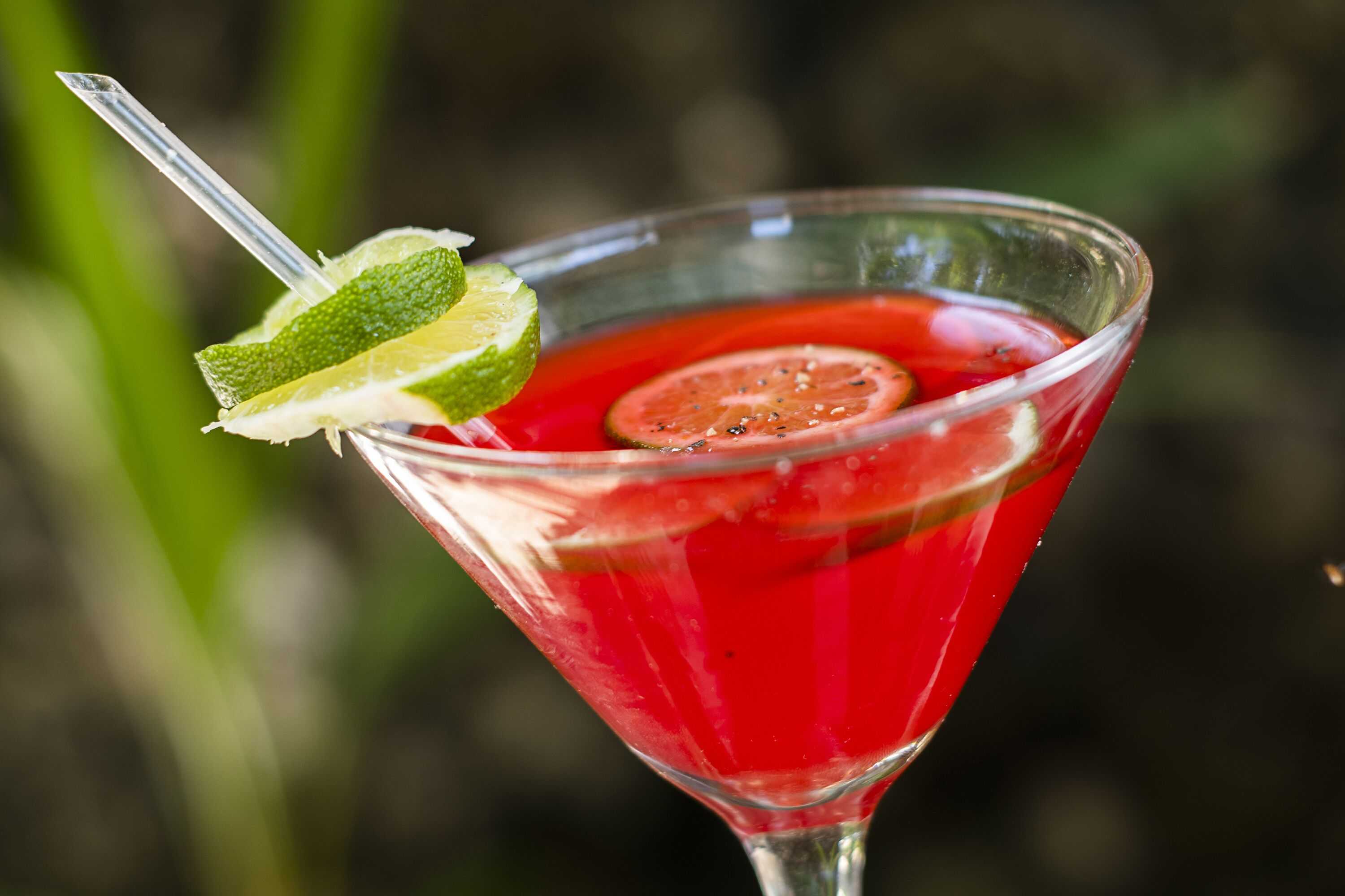 Gift card for Isla Tijereto