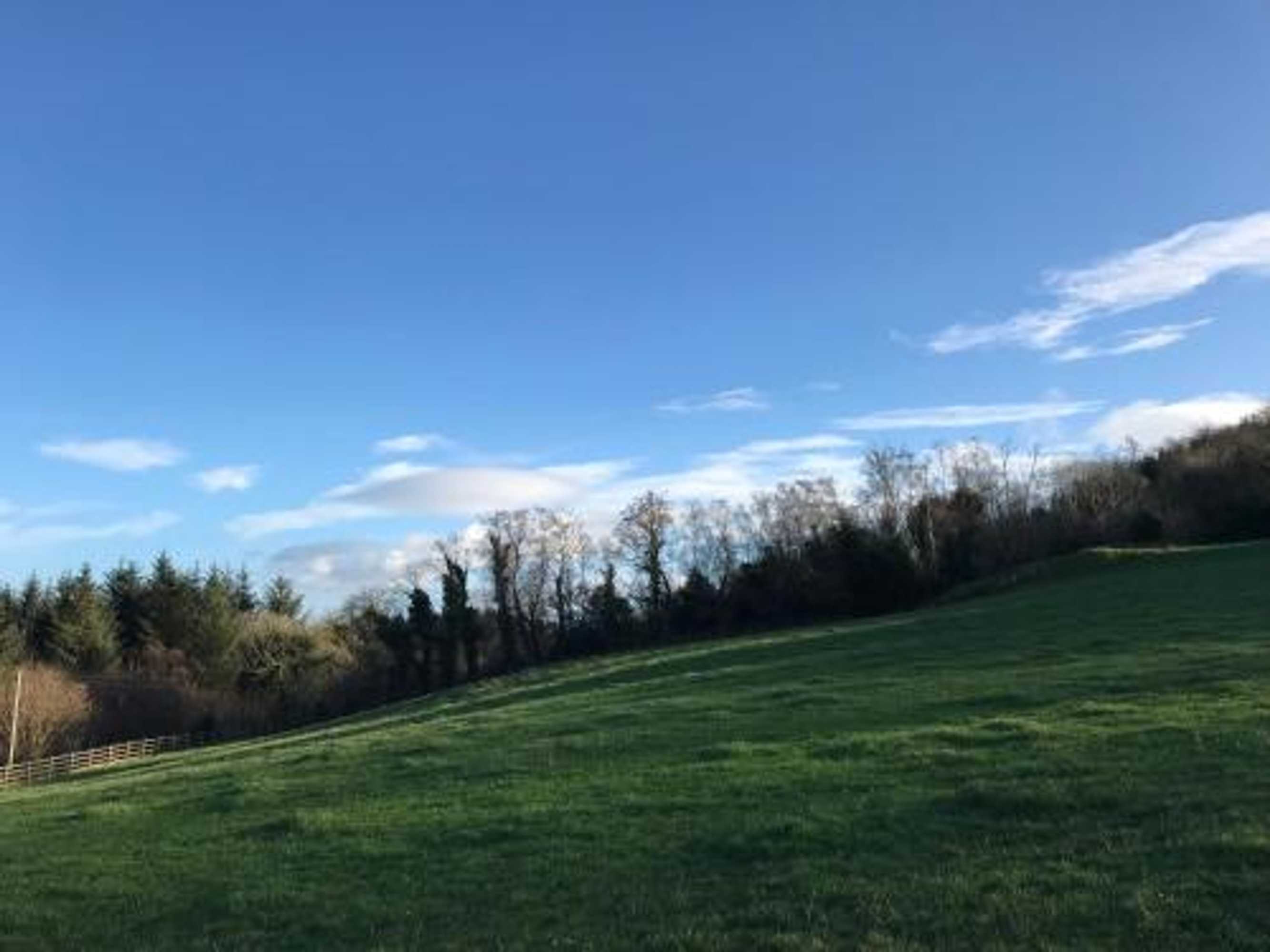 Gift card for Forest View - Castlewellan, County Down Gift card for Forest View - Castlewellan, County Down