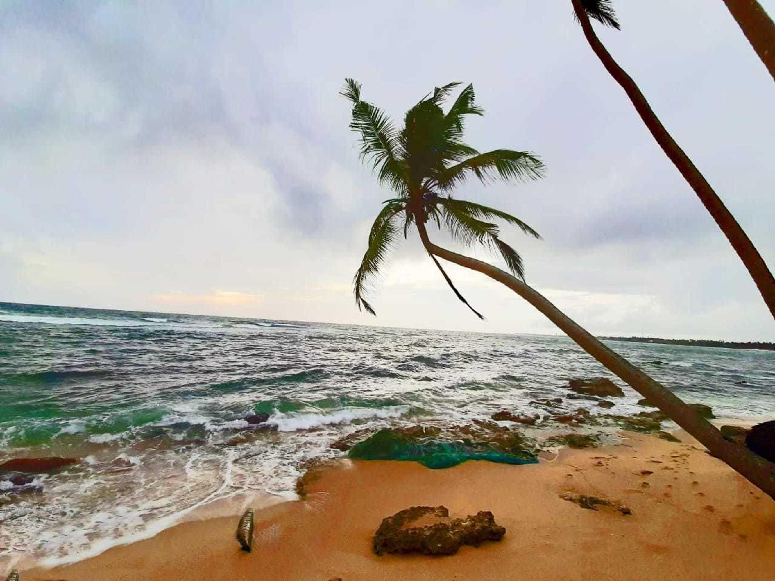Gift card for Akurala Beach Boutique Resort Gift card for Akurala Beach Boutique Resort