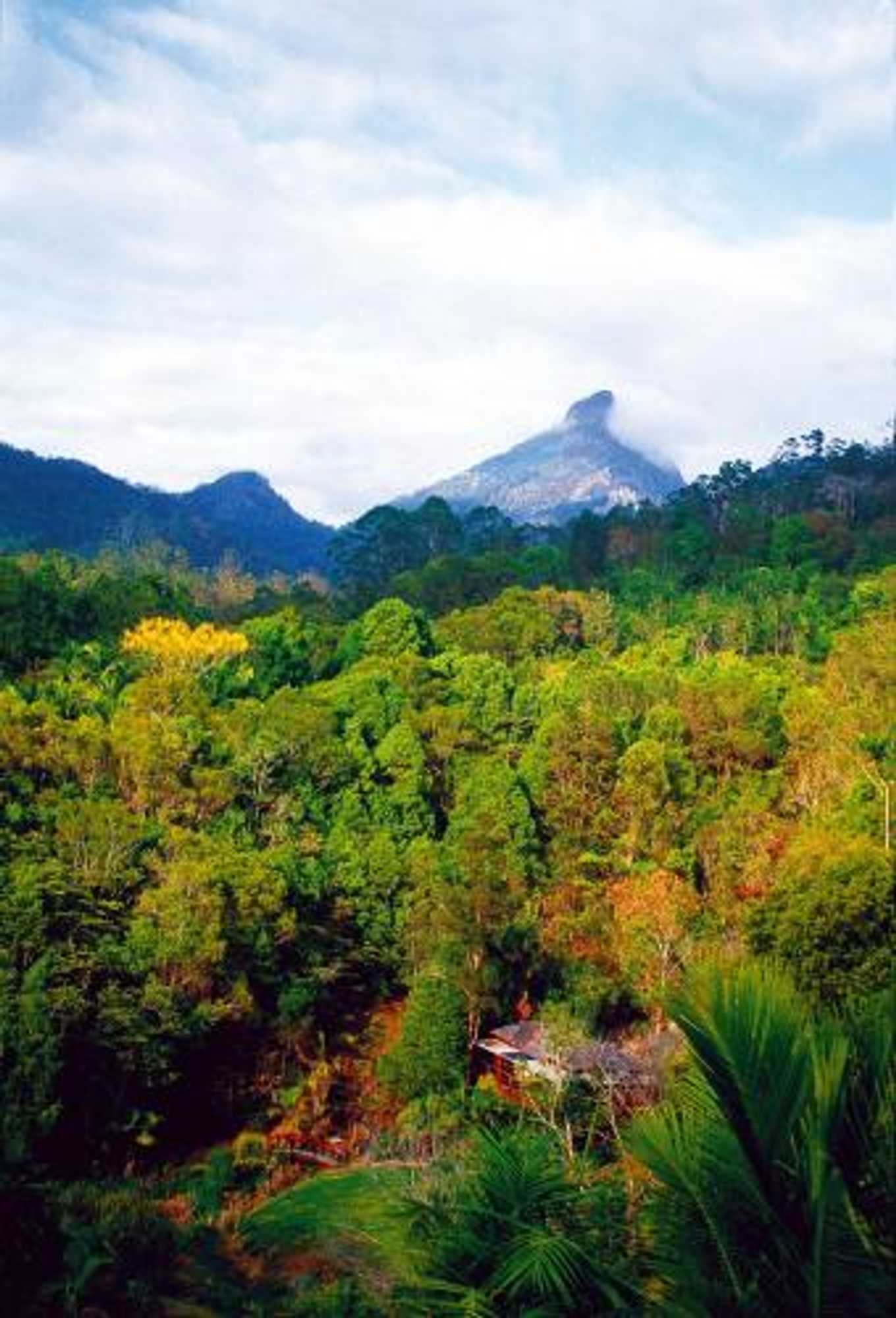 Gift card for Wollumbin Palms Rainforest Retreat Gift card for Wollumbin Palms Rainforest Retreat