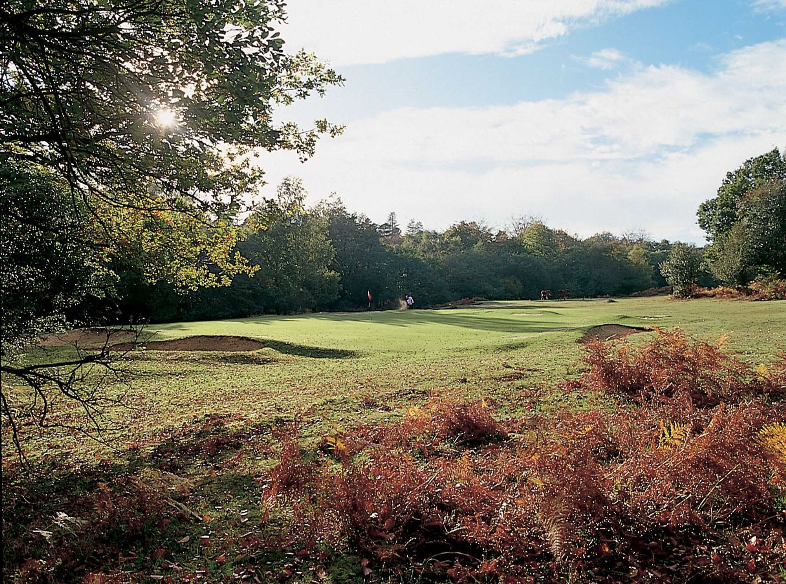 Gift card for The Bell Inn Hotel