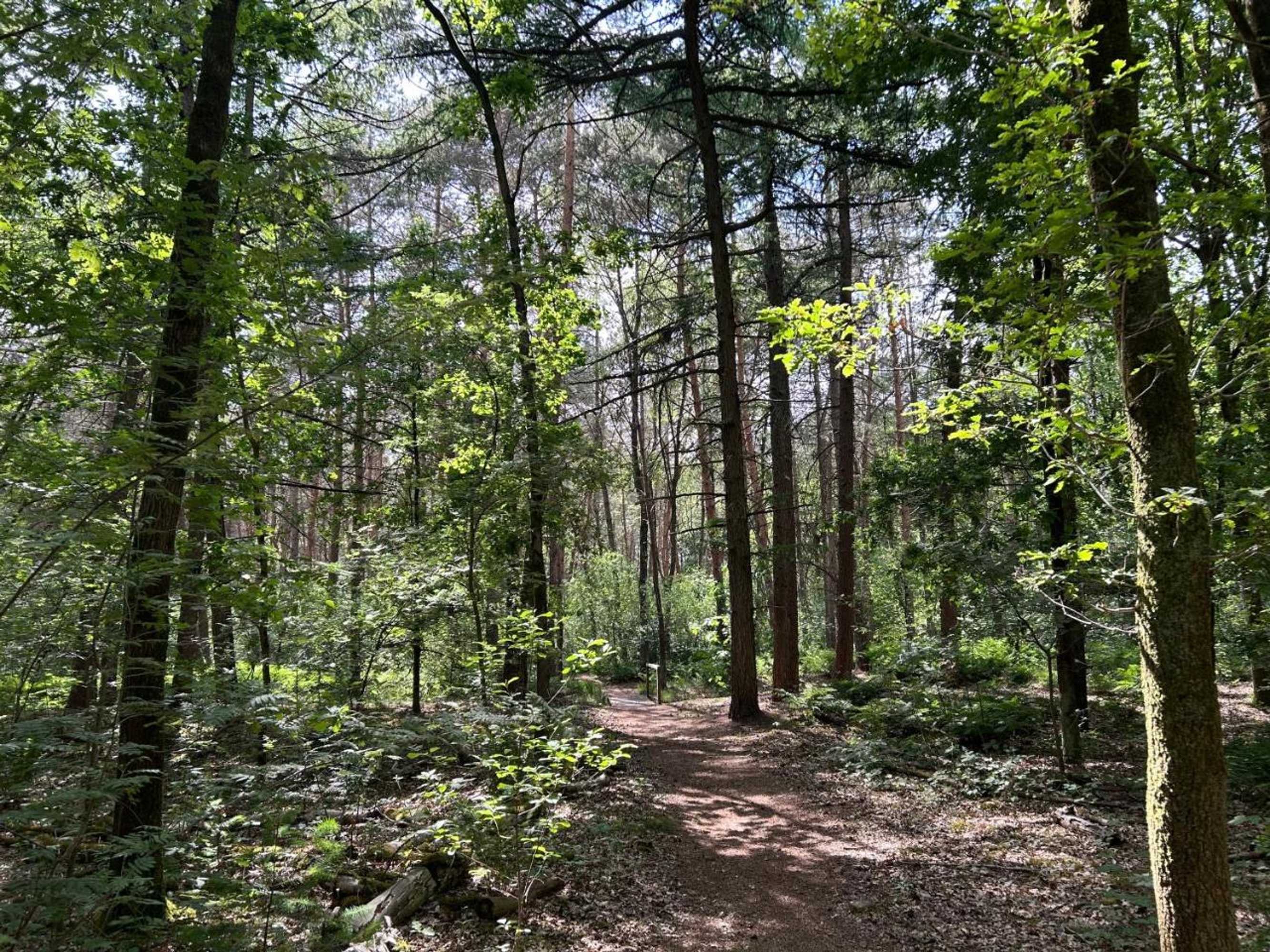 Gift card for Bed&breakfast Kamersven