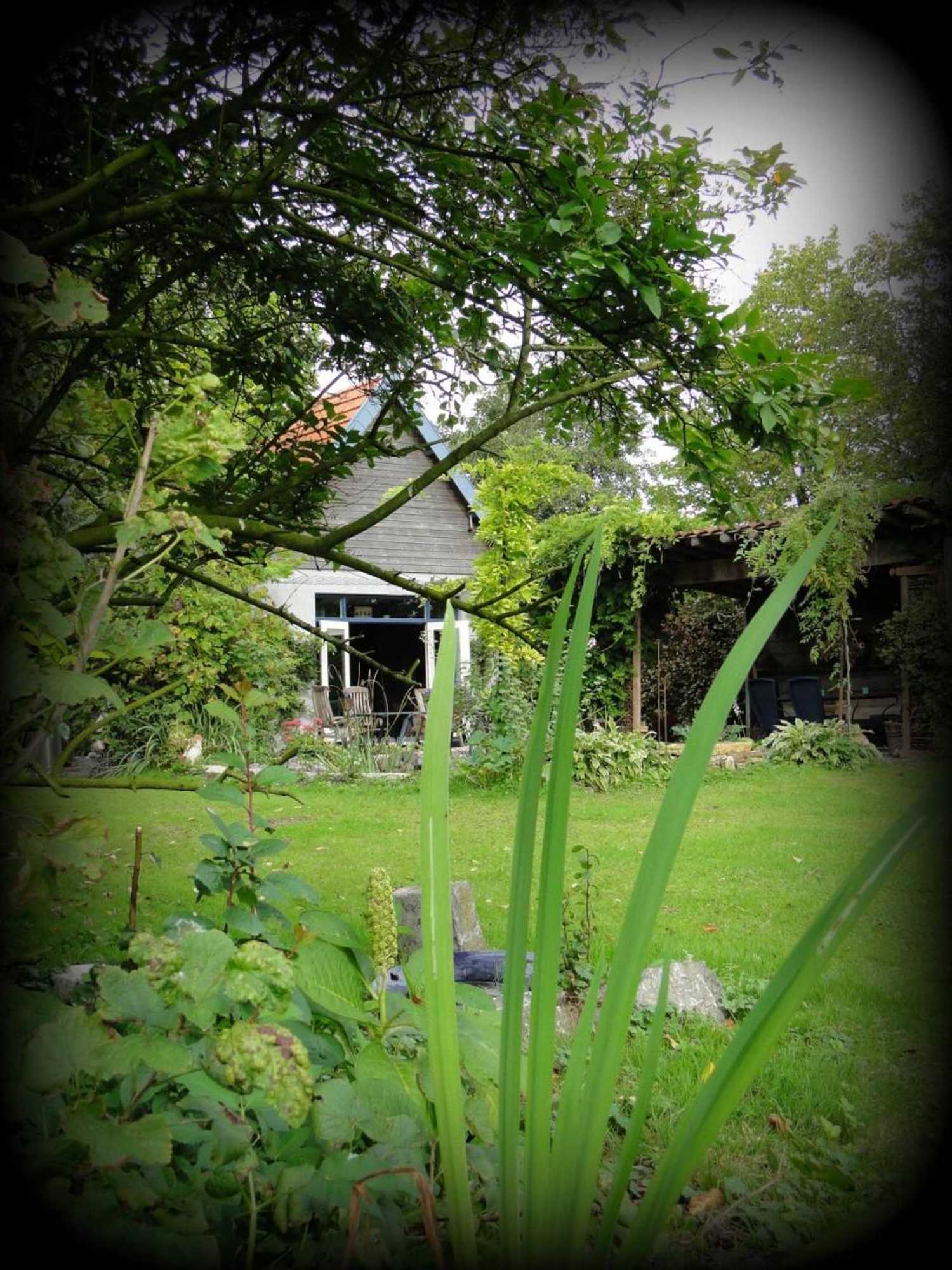 Gift card for B&b De Lotus