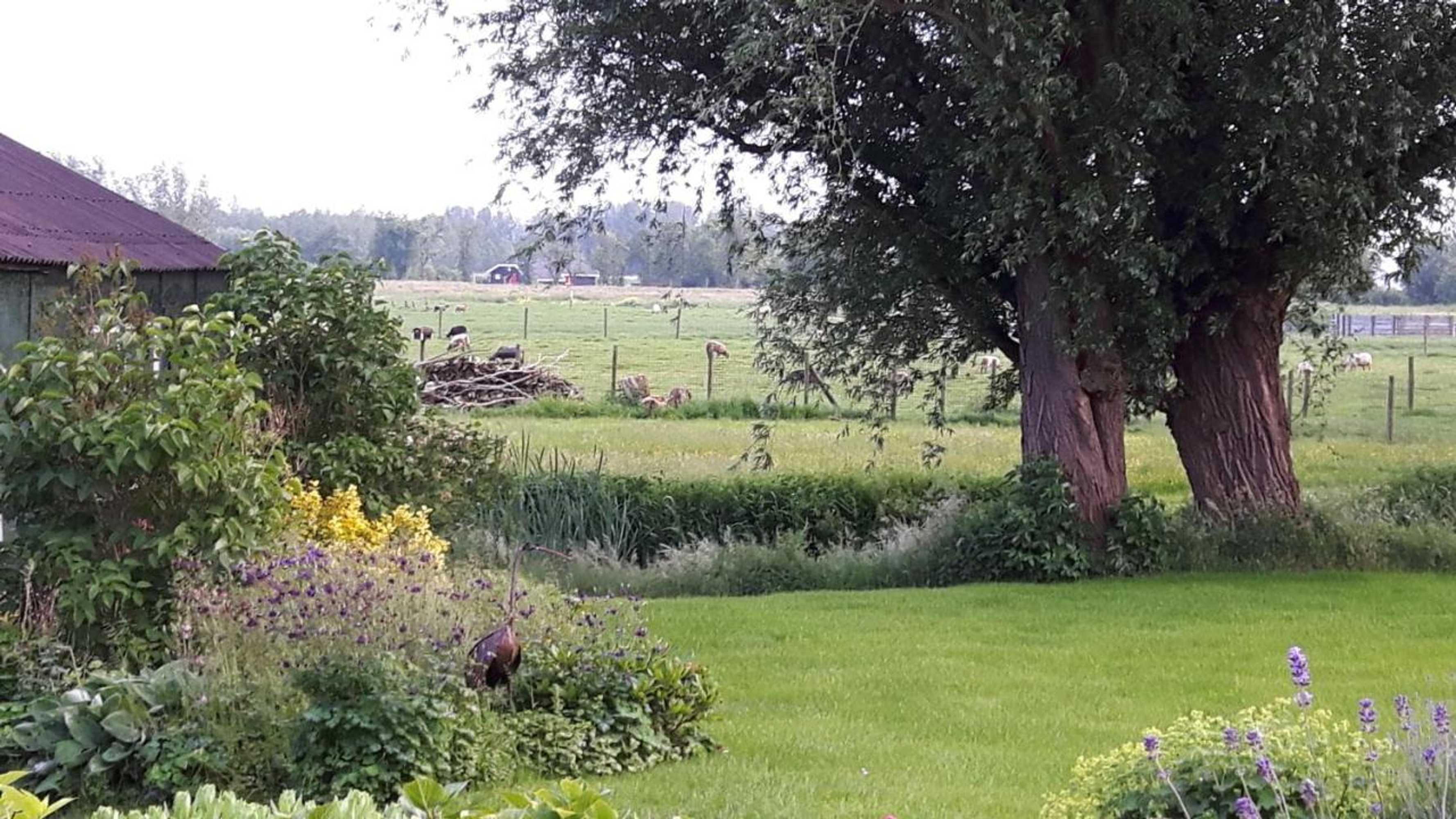 Gift card for B&b de Oude Hofstee