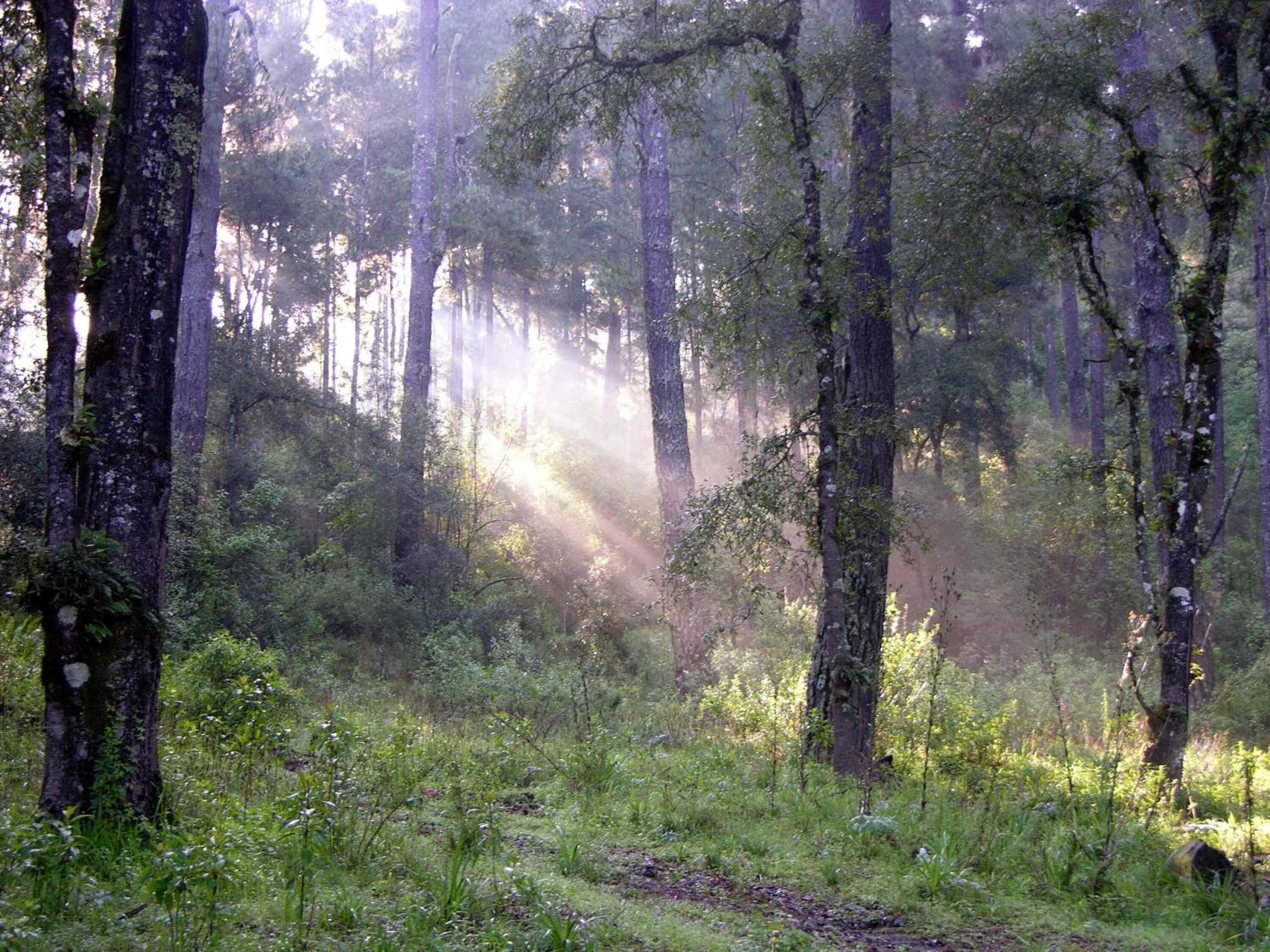 Gift card for Rancho Viejo