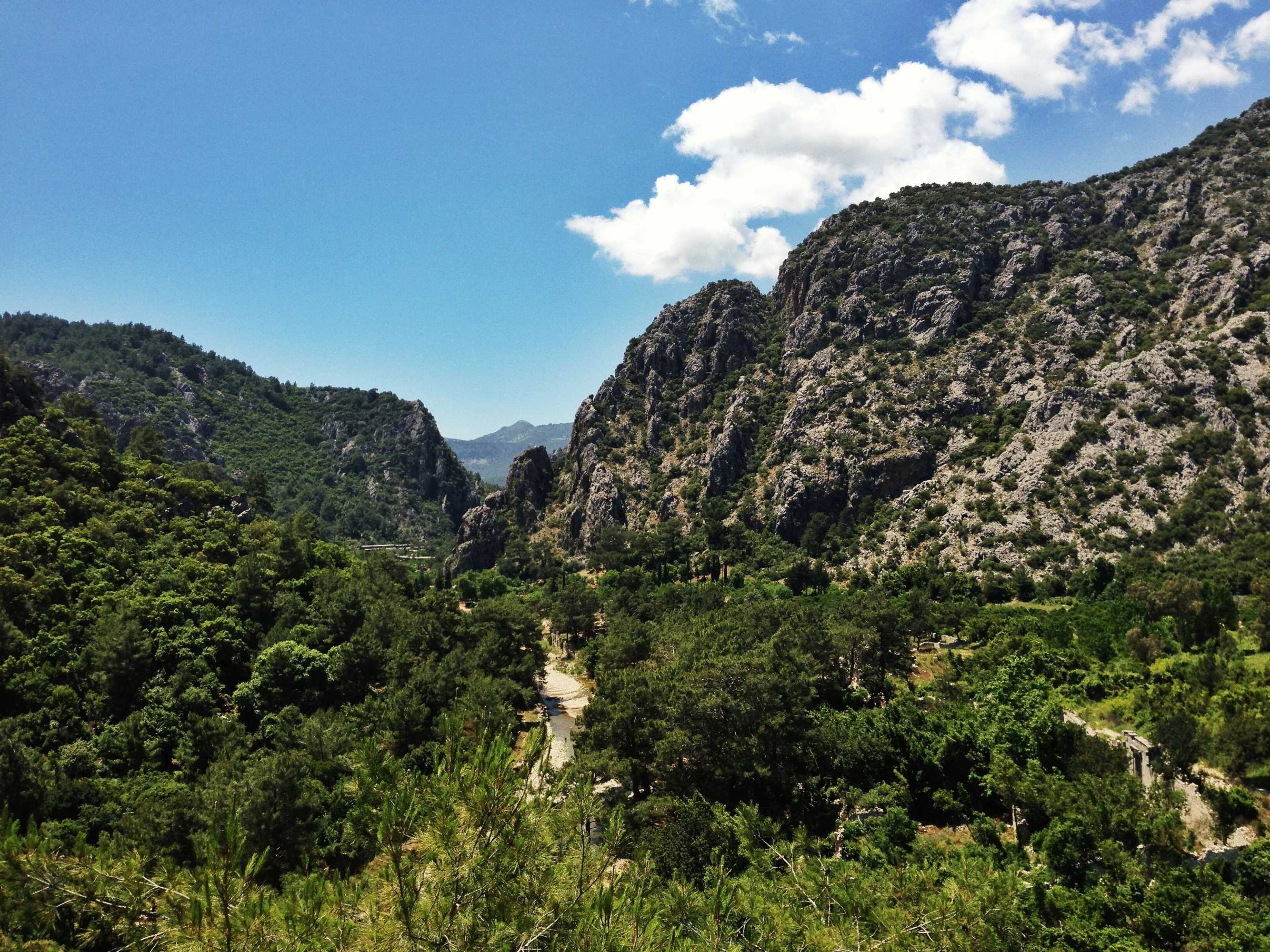 Gift card for Kadir's Tree Houses