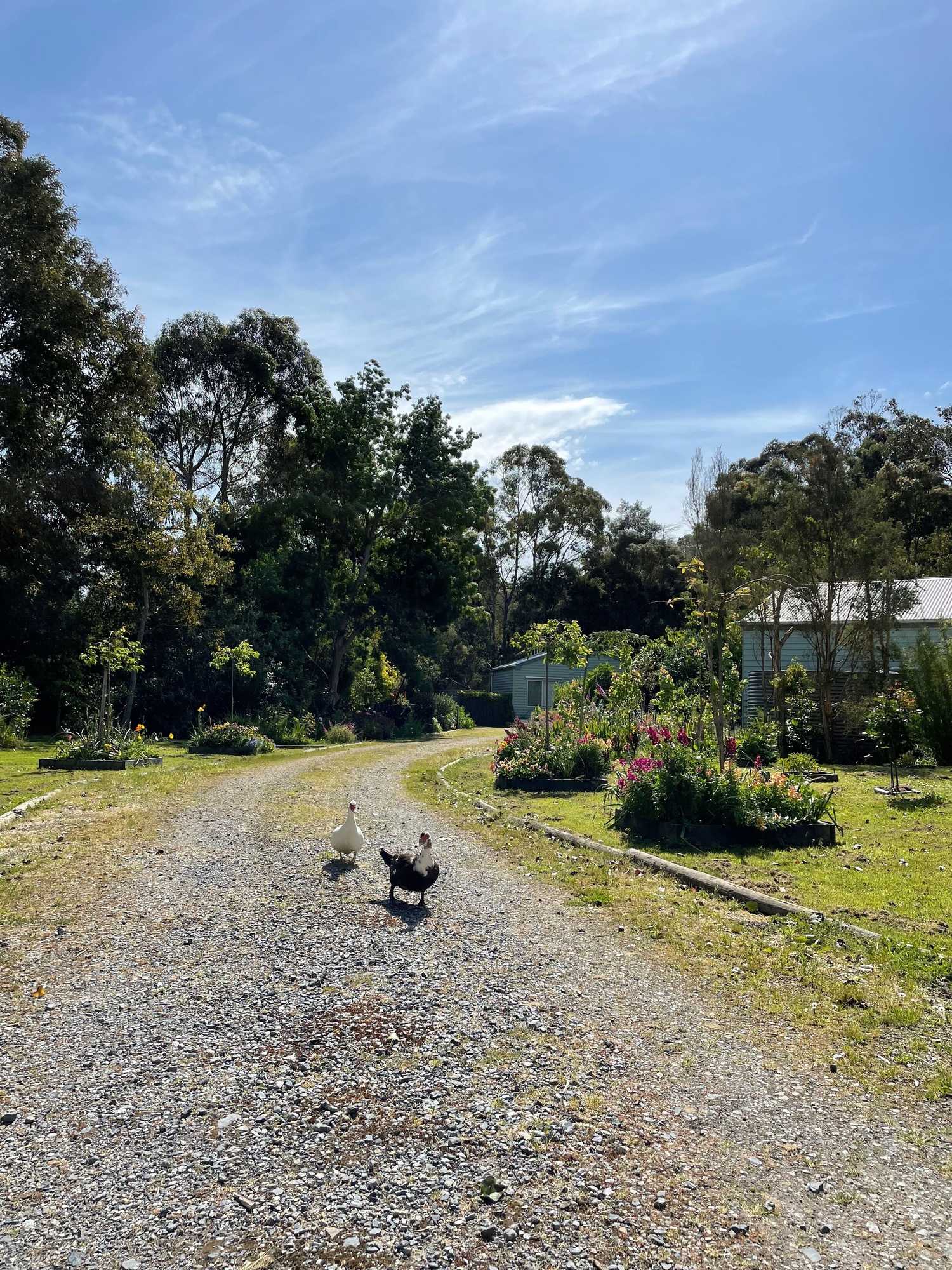Gift card for Tindoona Cottages