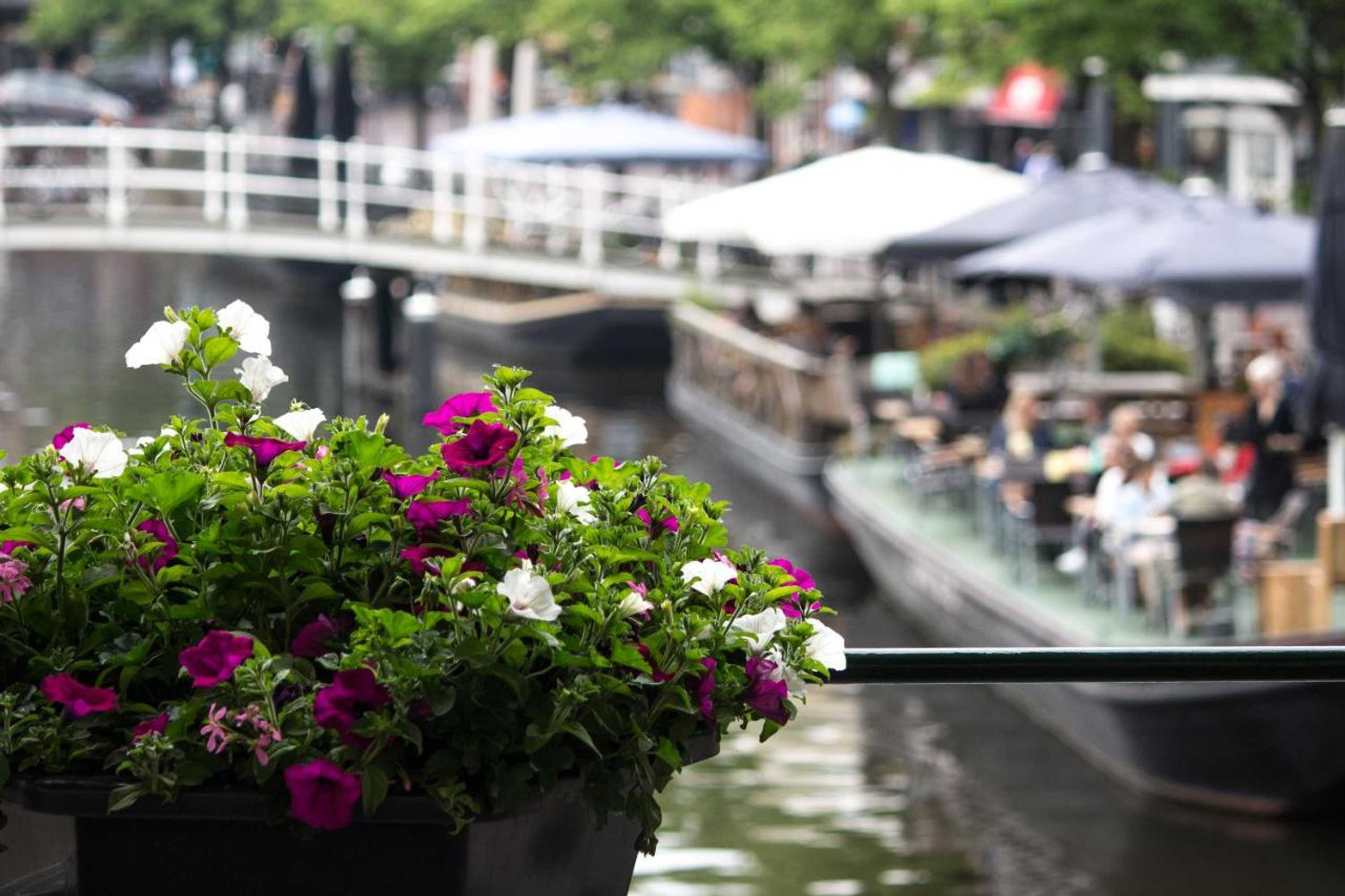 Gift card for Nr22 Leiden