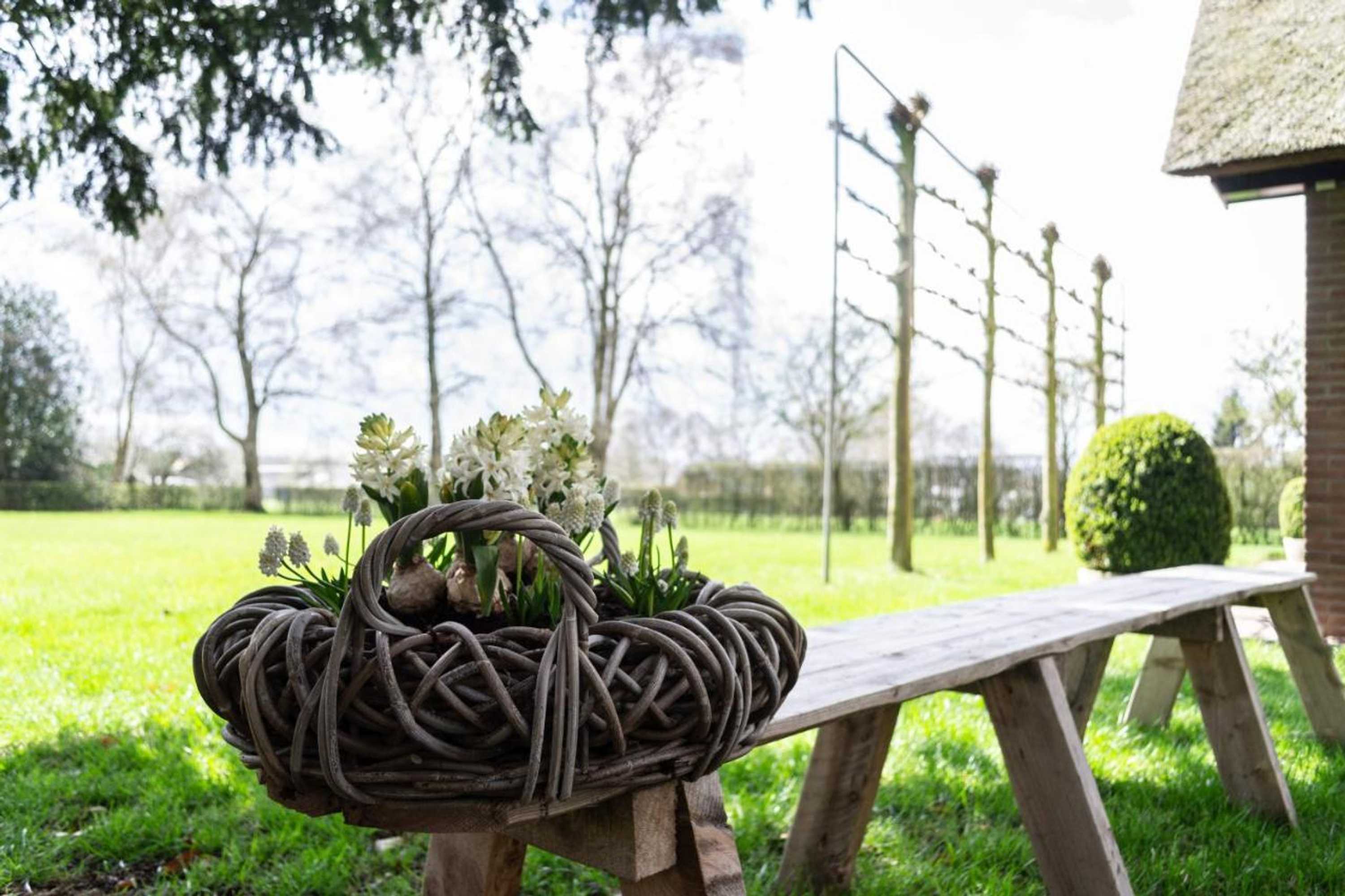 Gift card for 't Rheebokje