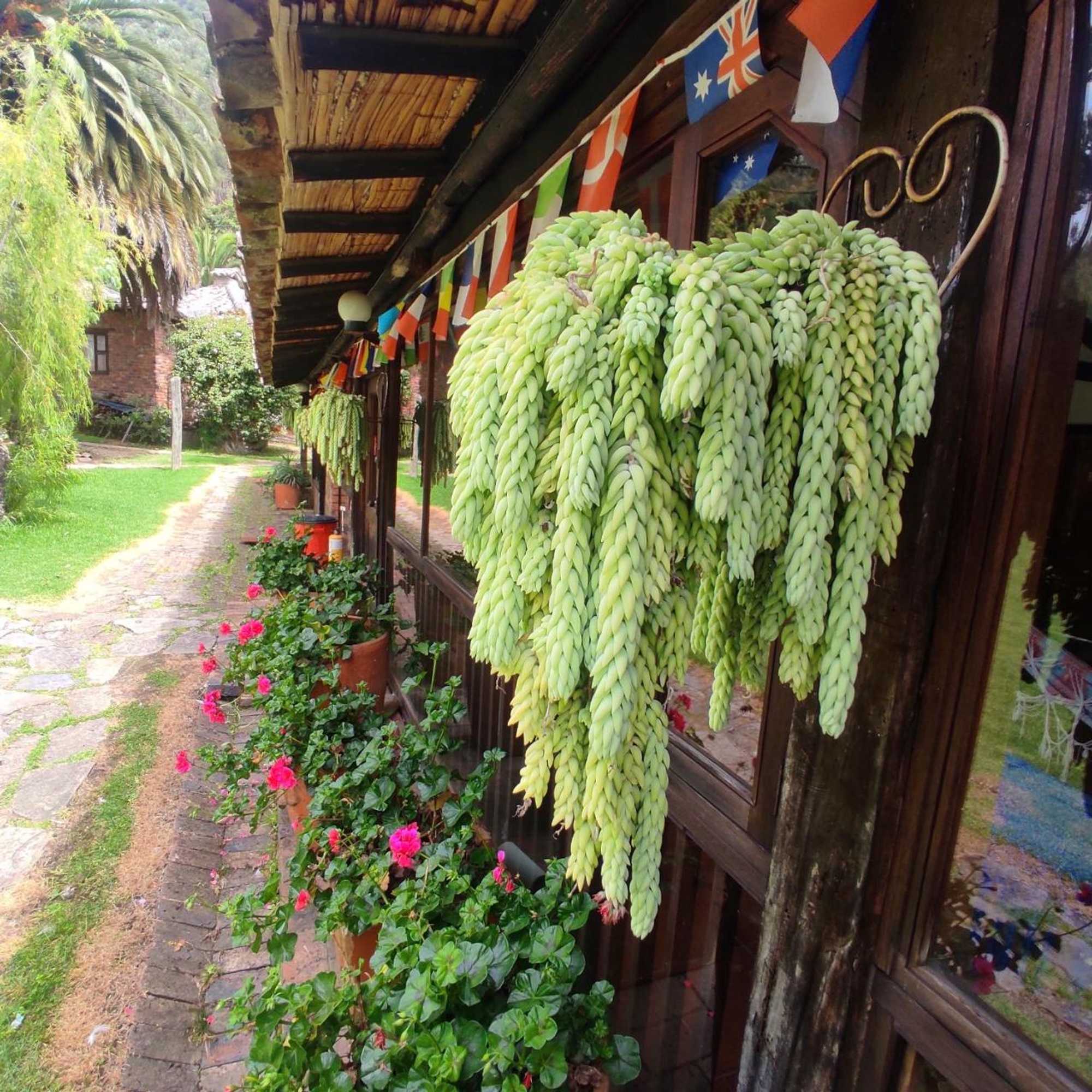 Gift card for Finca San Pedro -Alojamiento Campestre y Reserva Natural-