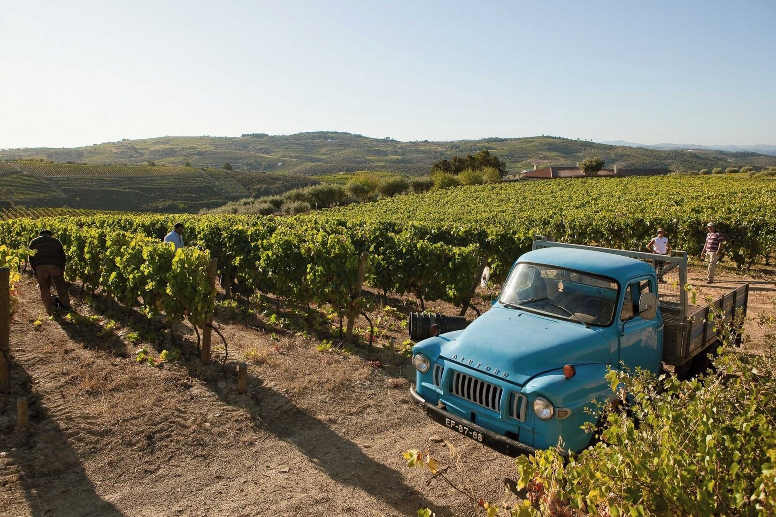Gift card for Quinta DA Faisca - Agro Turismo