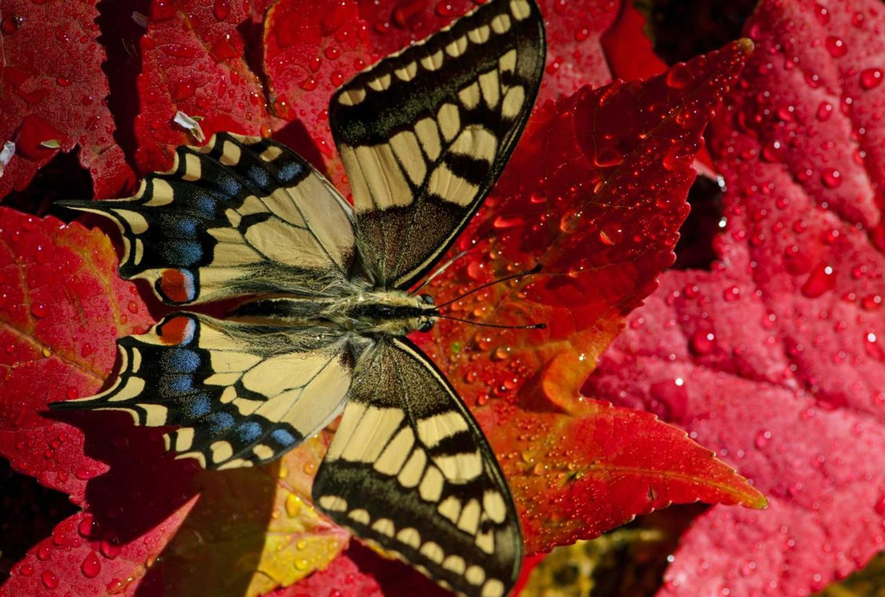 Gift card for Quinta do Fontelo