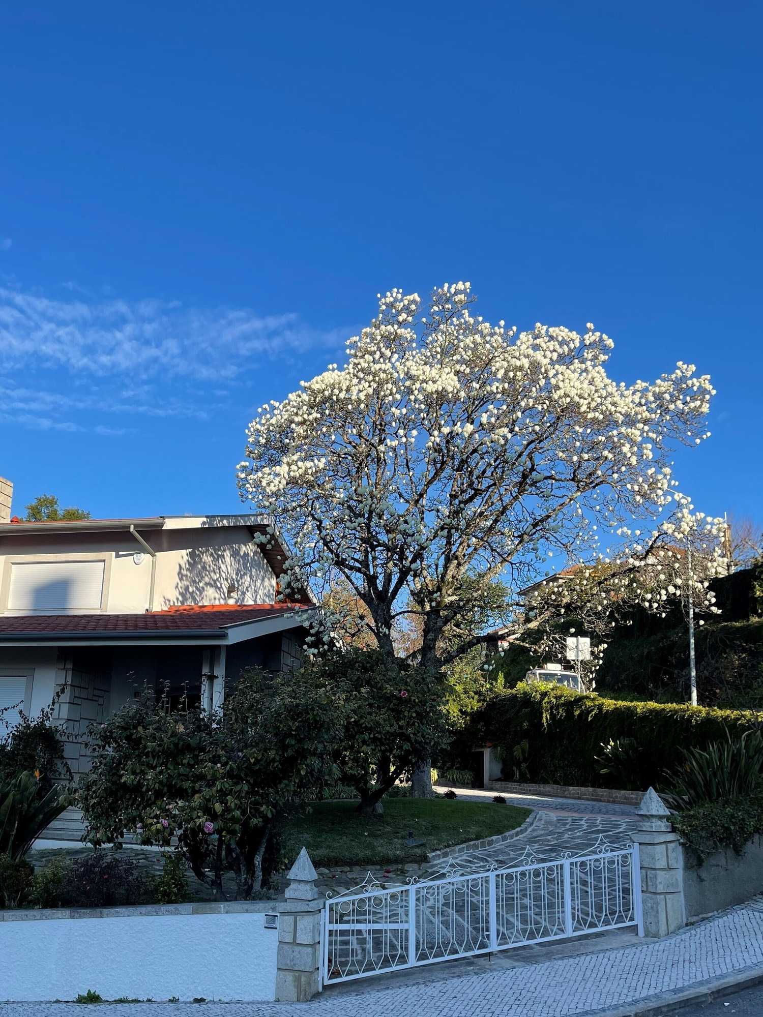 Gift card for Santiago Family House Luxury Guest House