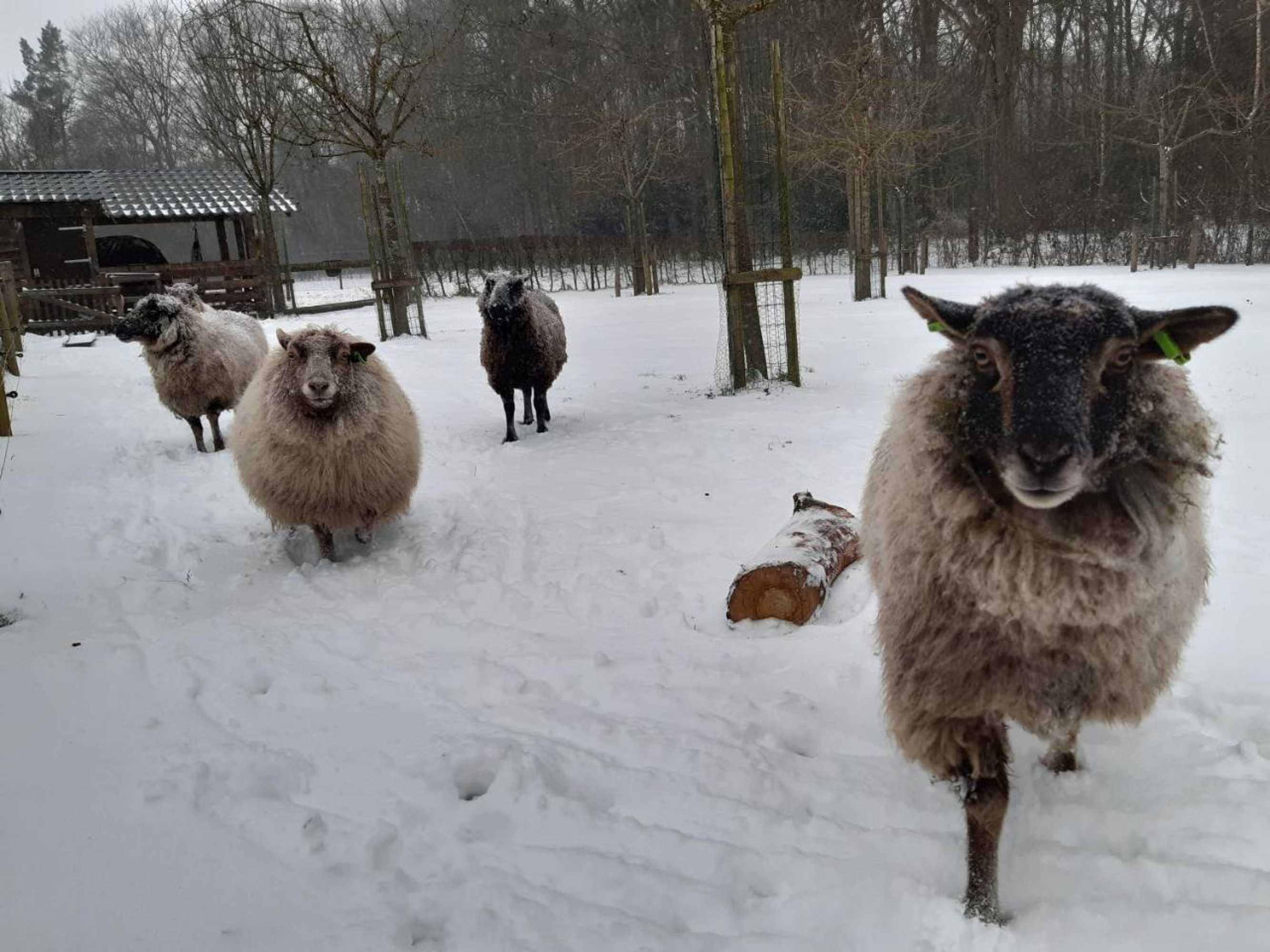 Gift card for Hoeve Op Vollenhof