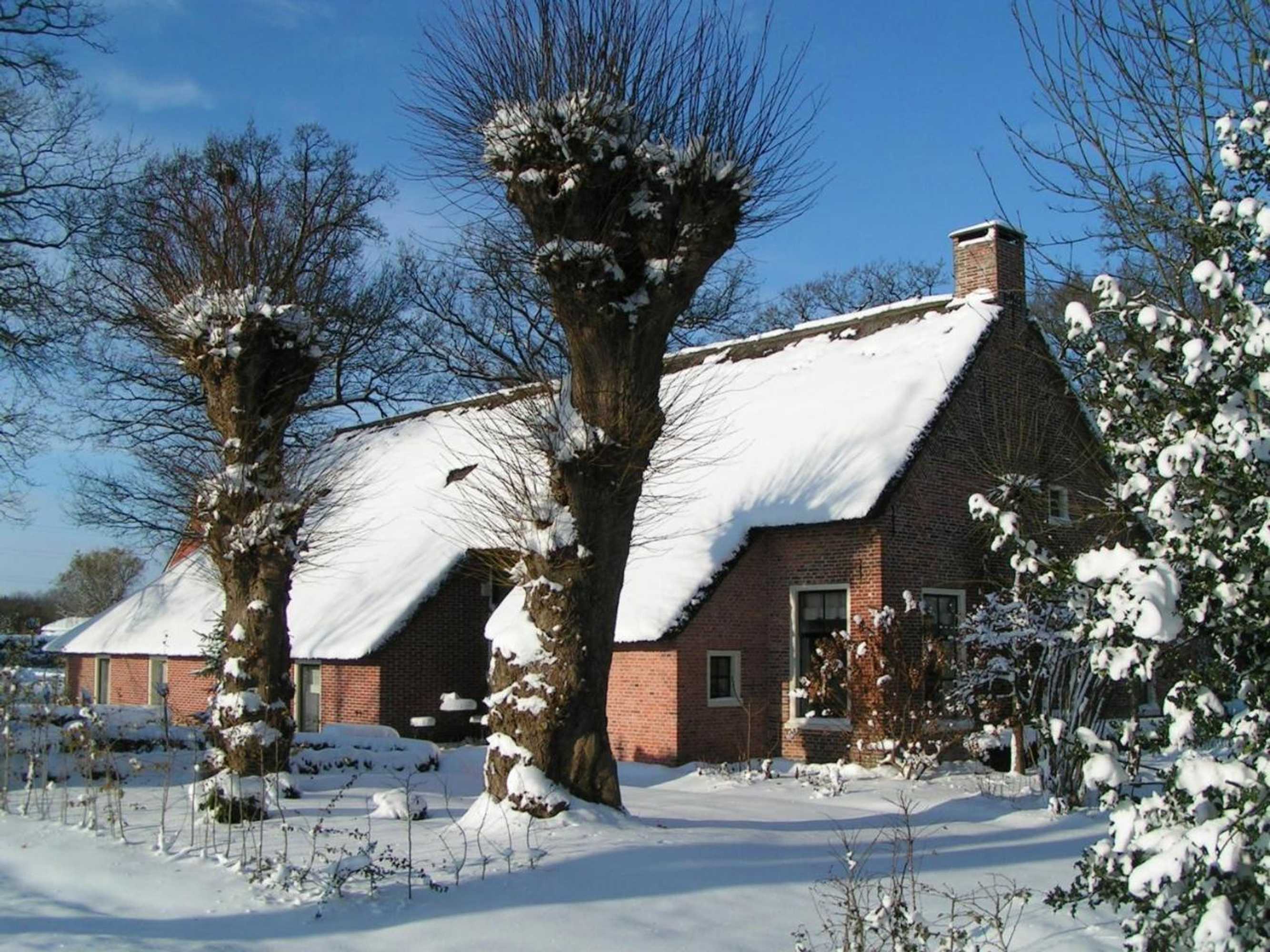 Gift card for Het Schepershoes