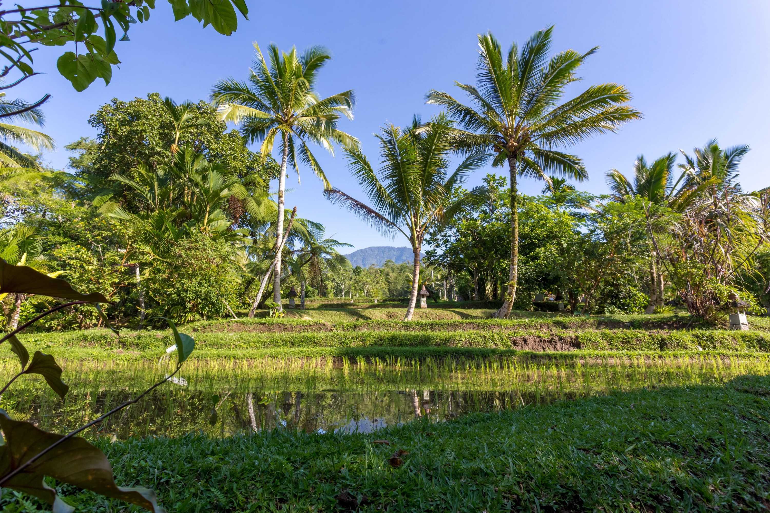 Gift card for Prana Dewi Mountain Resort Gift card for Prana Dewi Mountain Resort