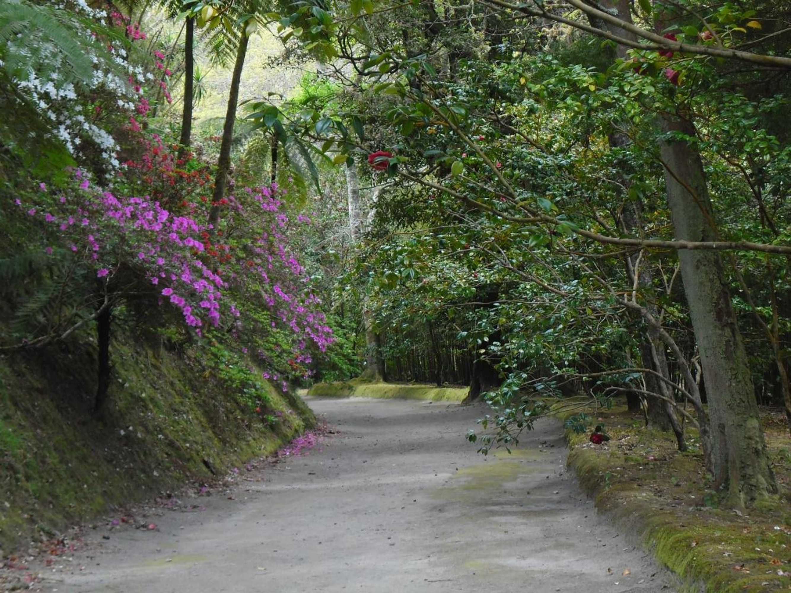 Gift card for Casa da Lagoa