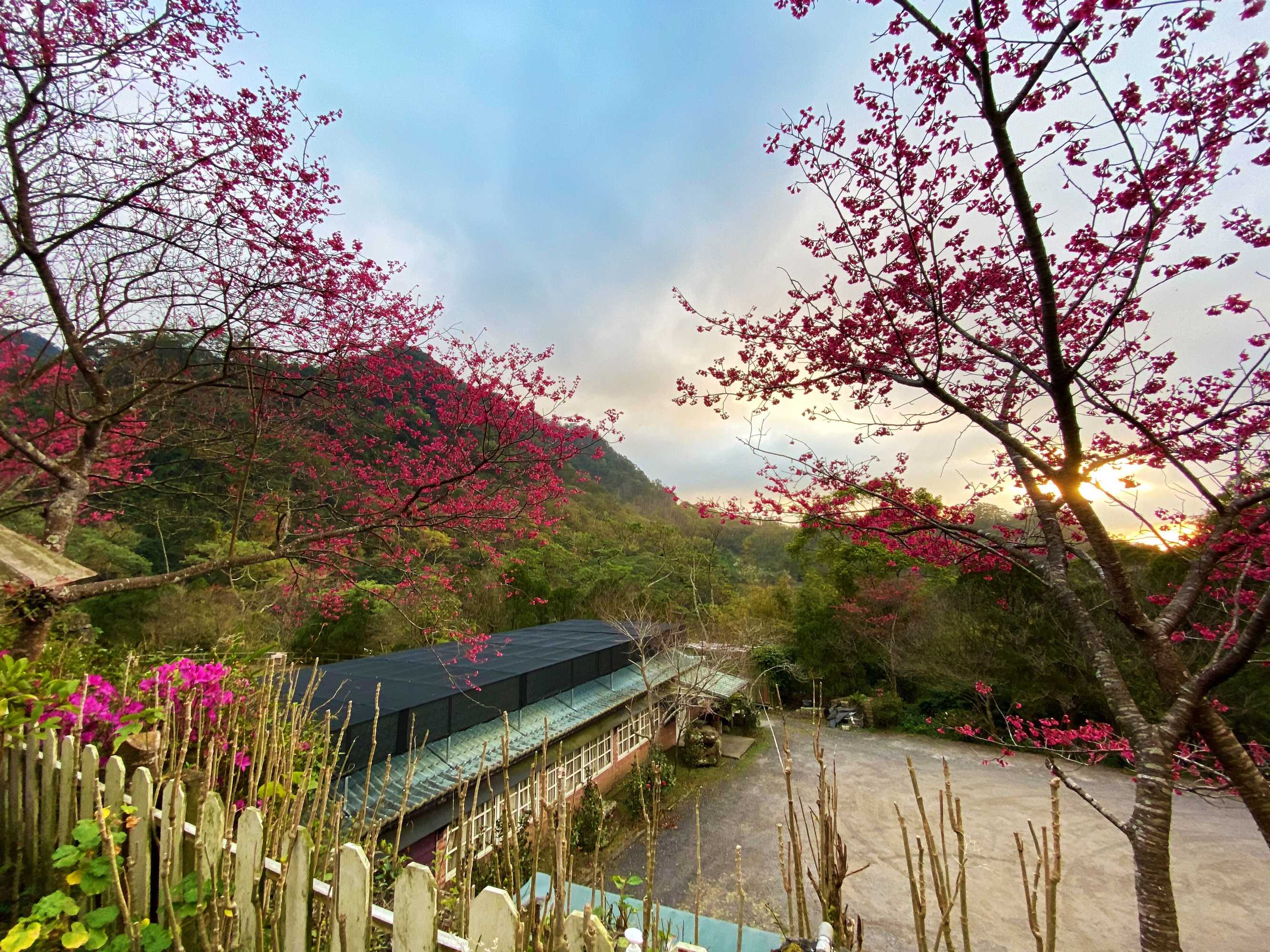 Gift card for Xianshan Homestay