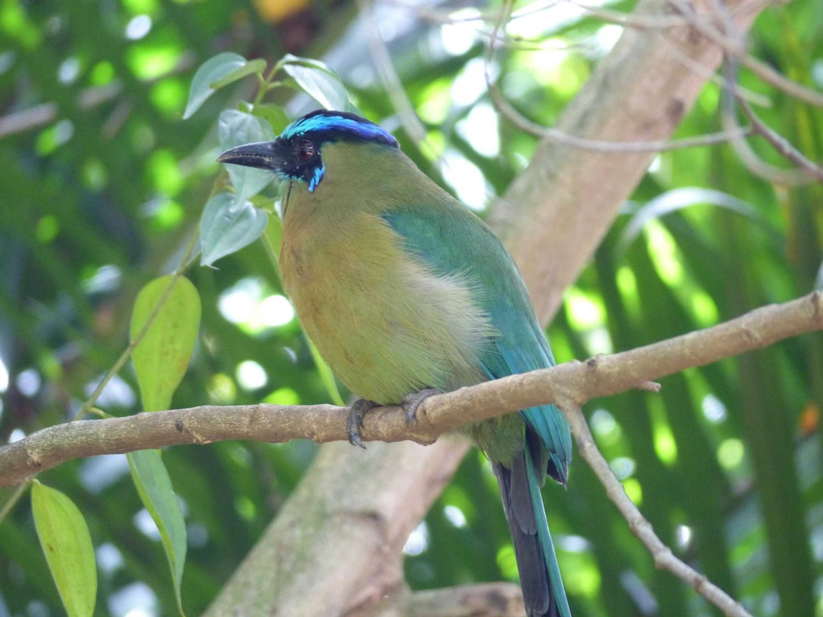 Gift card for Hotel B&b Garden Grecia