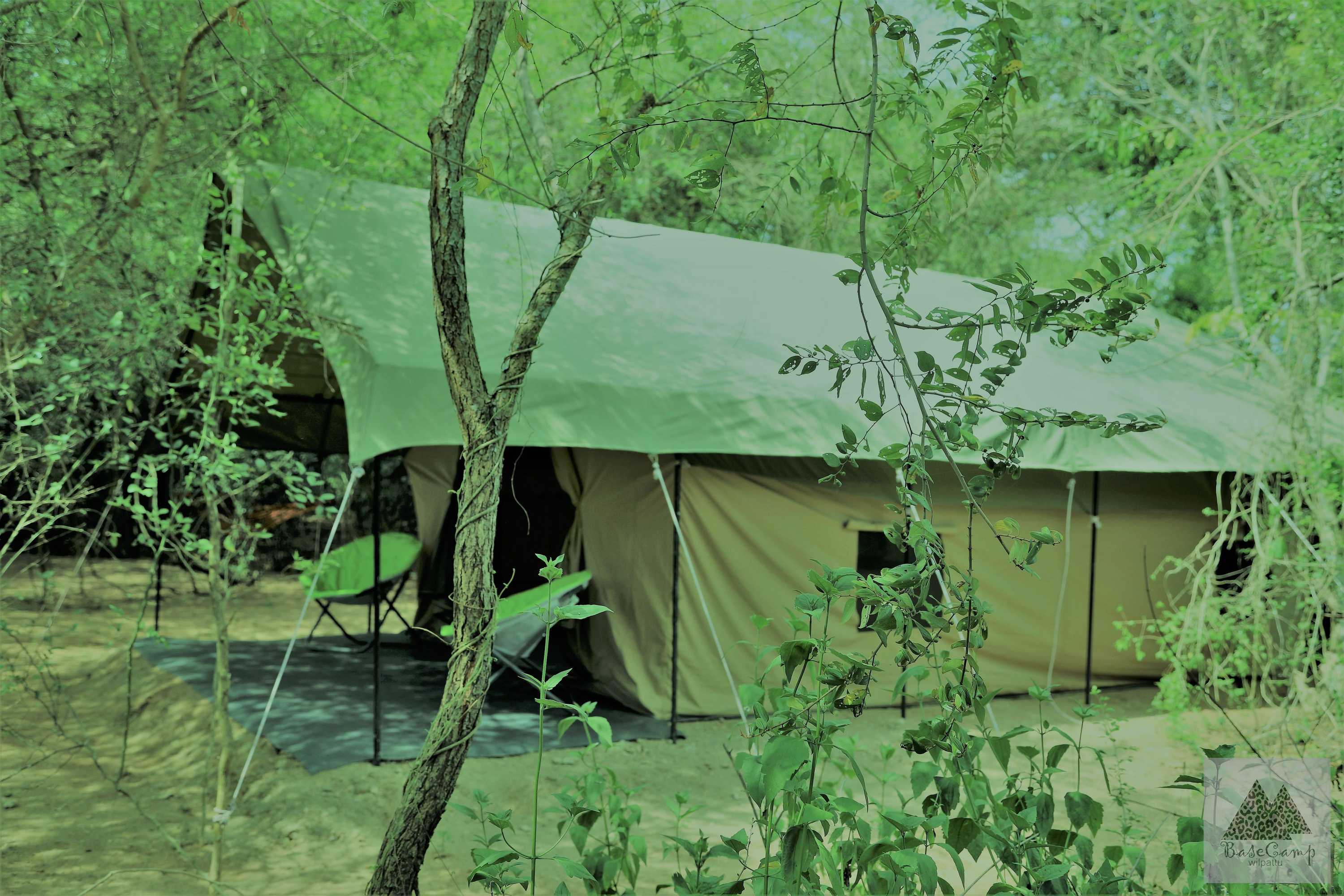 Gift card for Base Camp Wilpattu Gift card for Base Camp Wilpattu