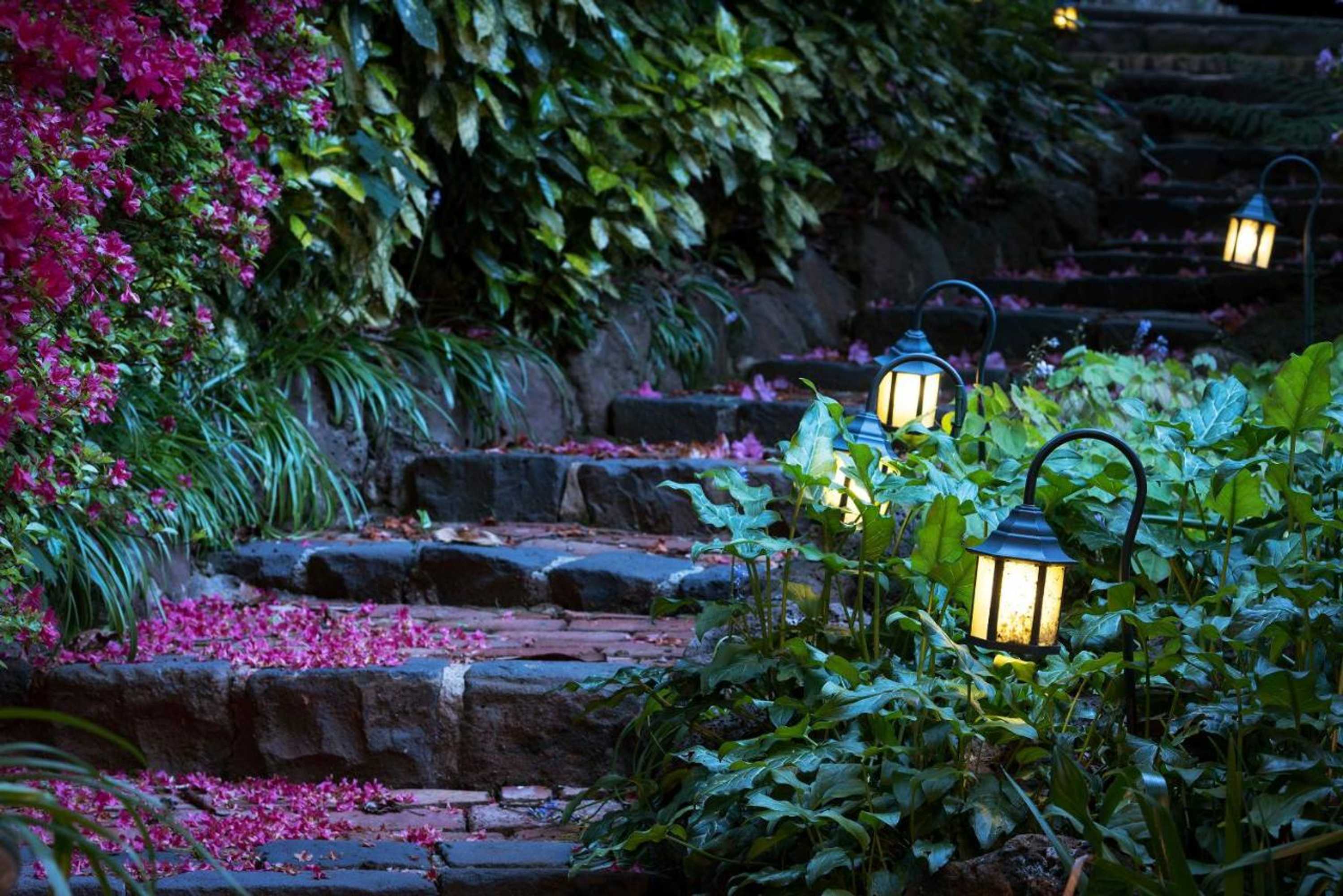 Gift card for Linden Gardens Rainforest Retreat