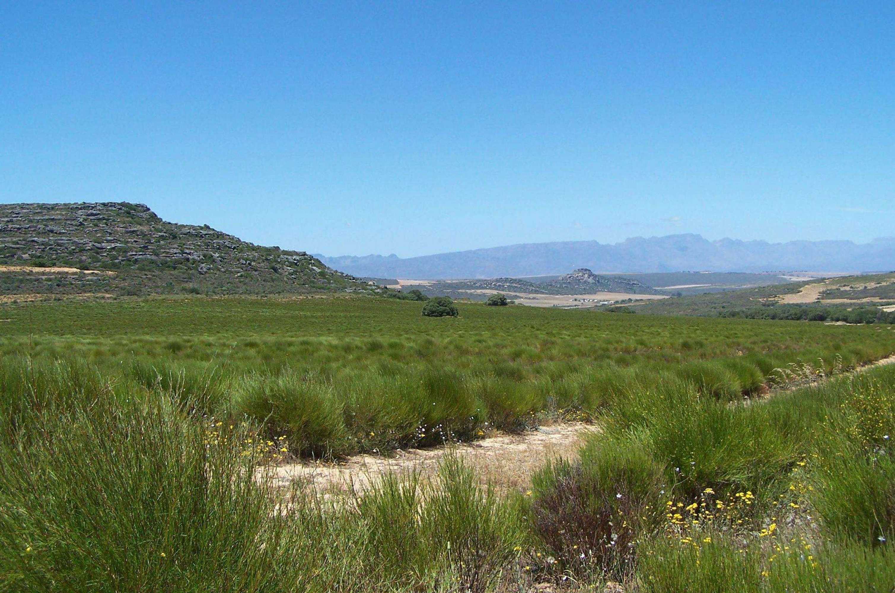Gift card for Simbavati Cederberg Ridge Gift card for Simbavati Cederberg Ridge
