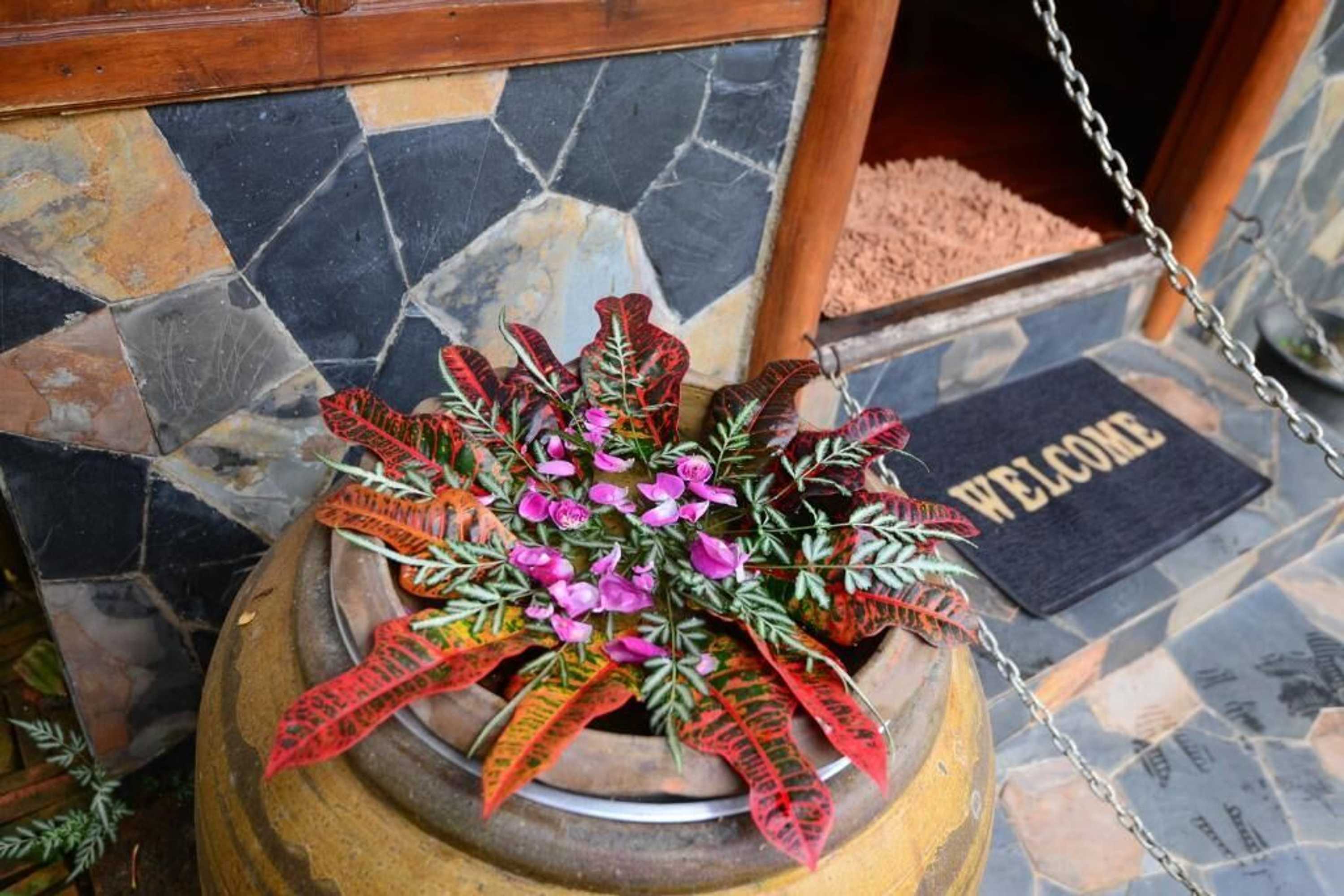 Gift card for Viang Yonok Hotel, Restaurant, Sports Club