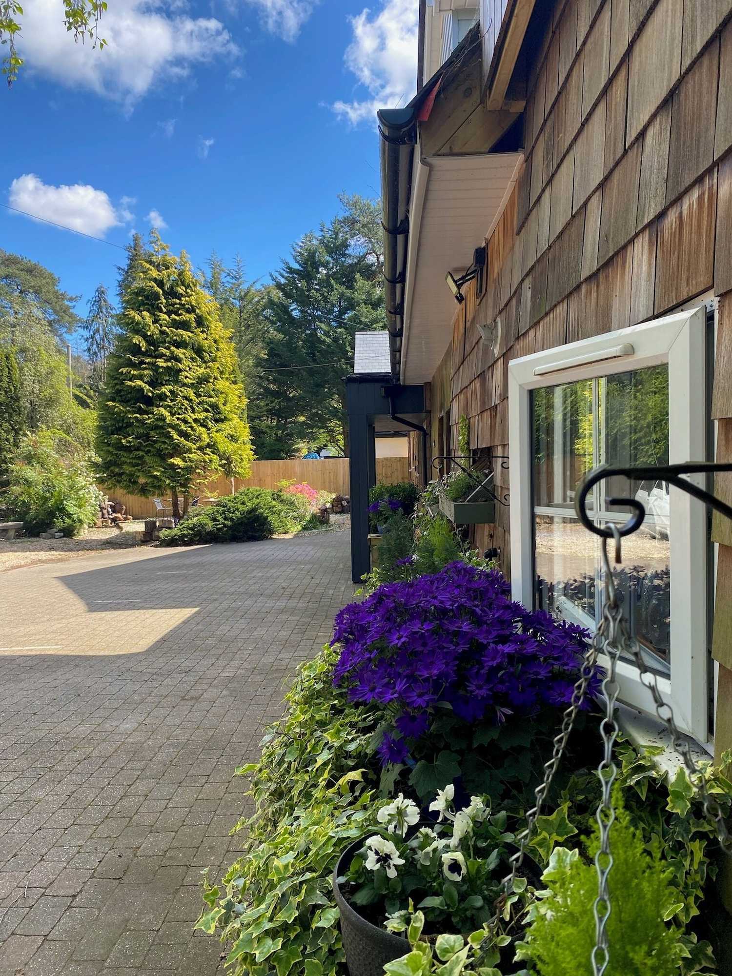 Gift card for Petherton Cottage Studios Gift card for Petherton Cottage Studios